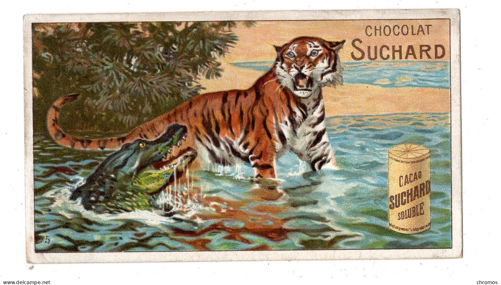 Chromo Chocolat Suchard, 142 / 5, Animaux Sauvages, Tigre, Crocodile - Suchard