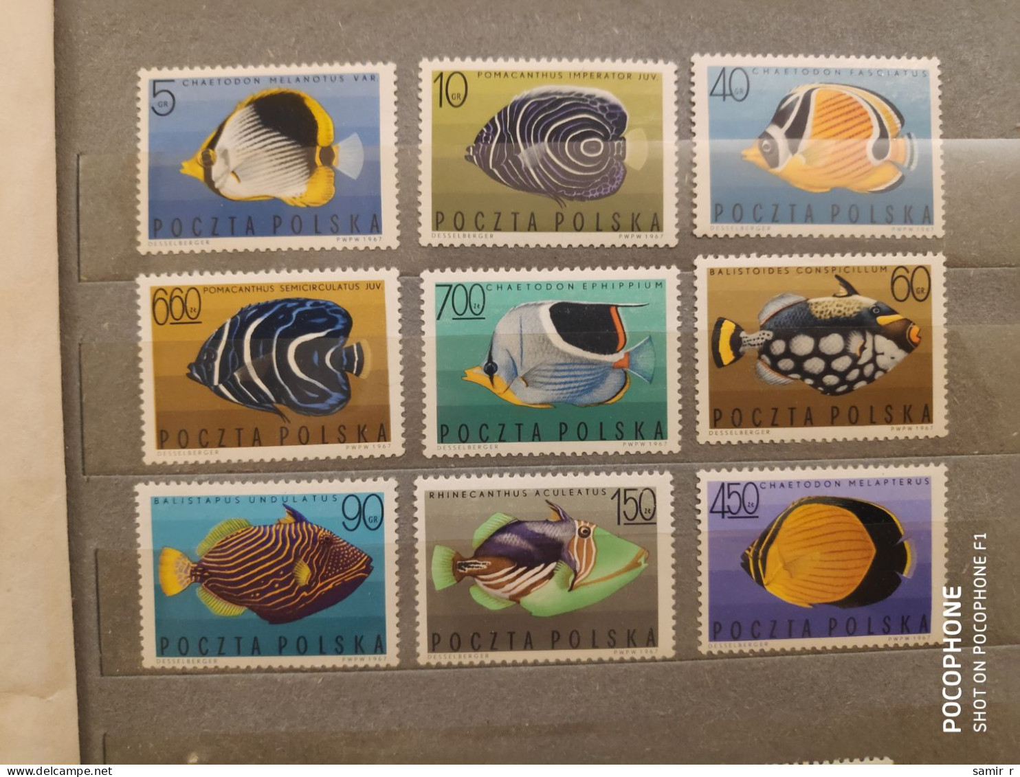 1967	Poland	Fishes (F88) - Unused Stamps