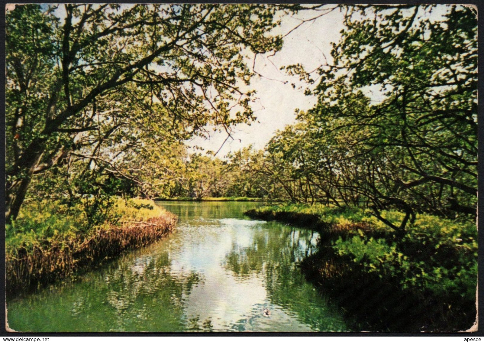 VENEZUELA - ISLA DE MARGARITA - PARQUE NACIONAL LAGUNA DE LA ARESTINGA - MAILED POSTCARD - I - Venezuela