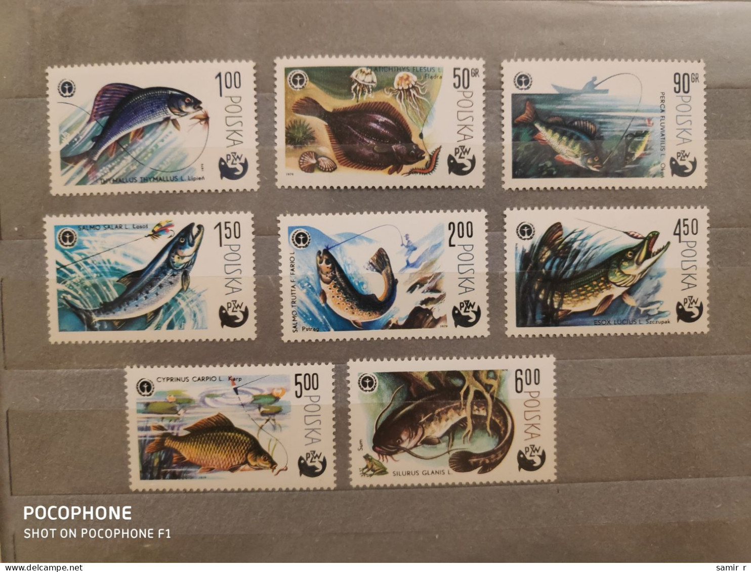 1979	Poland	Fishes (F88) - Unused Stamps