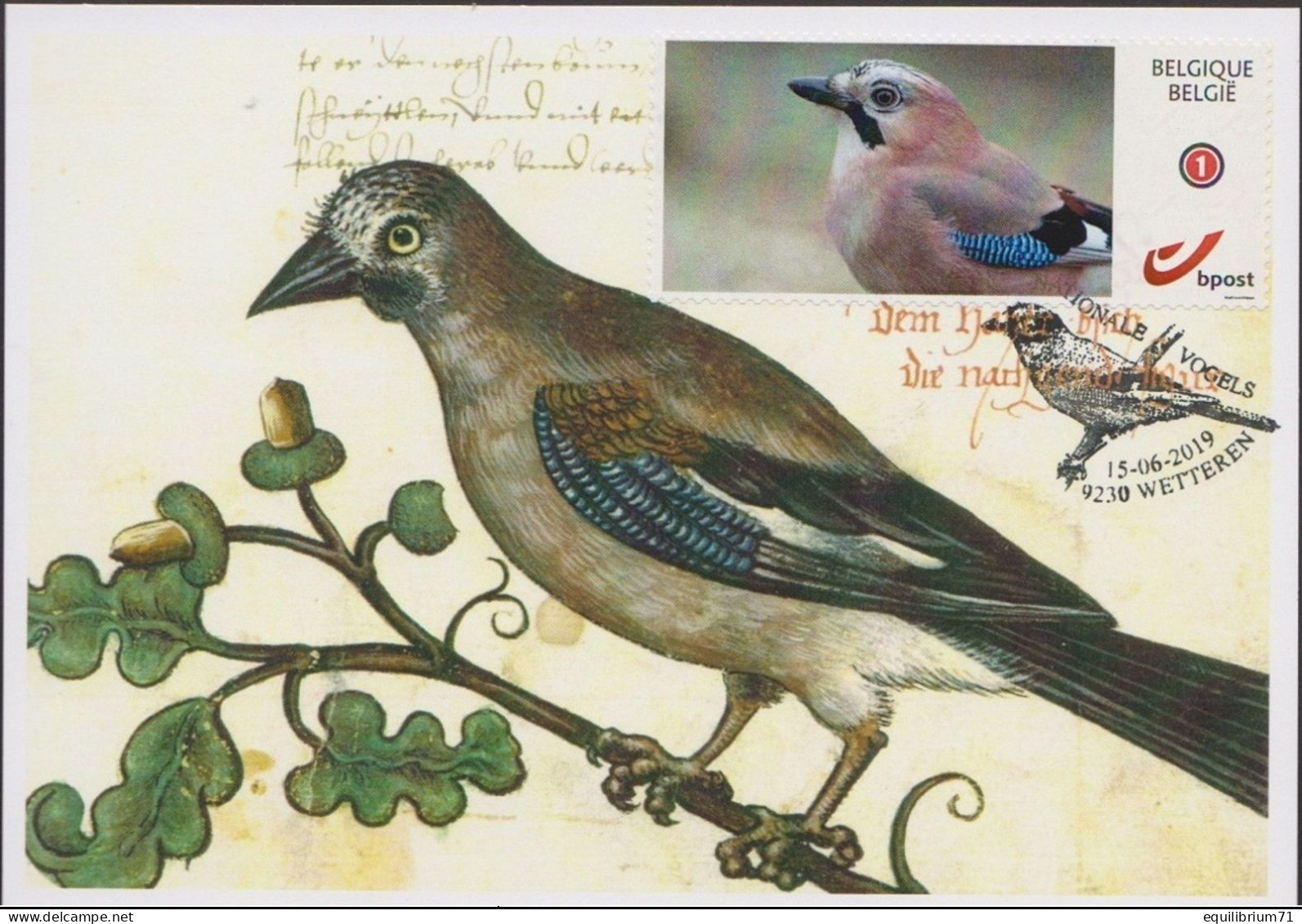 DUOSTAMP/MYSTAMP° - SPAB -  Geai Des Chênes / Eiken Gaai / Eichenhäher / Oak Jay - BUZIN - Storia Postale