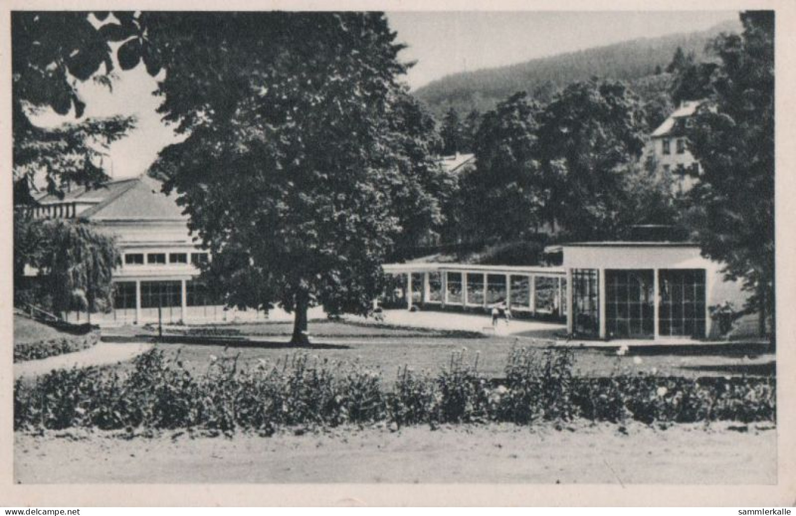 57629 - Bad Schwalbach - Wandelhalle - Ca. 1955 - Bad Schwalbach