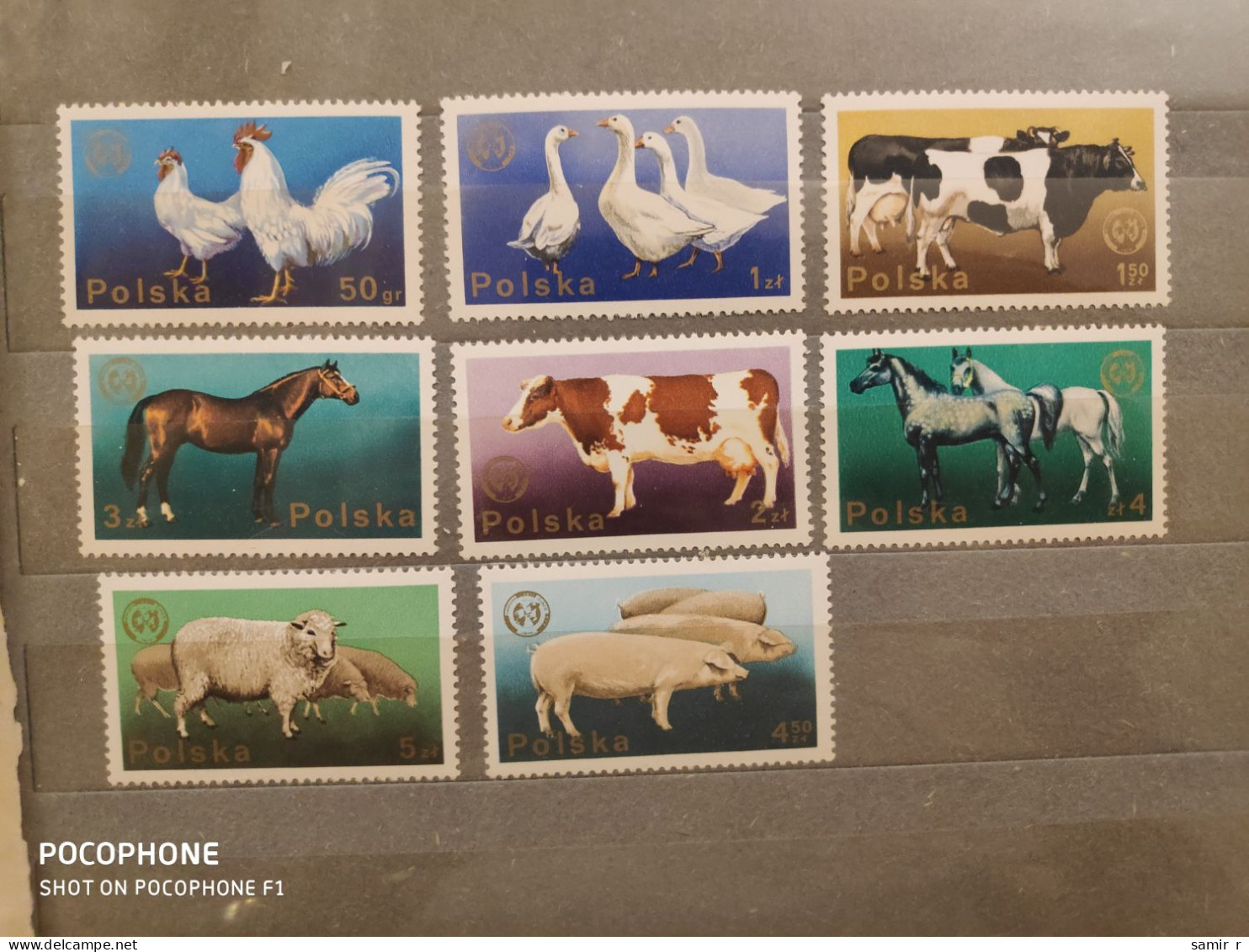 1976	Poland	Animals (F88) - Nuovi