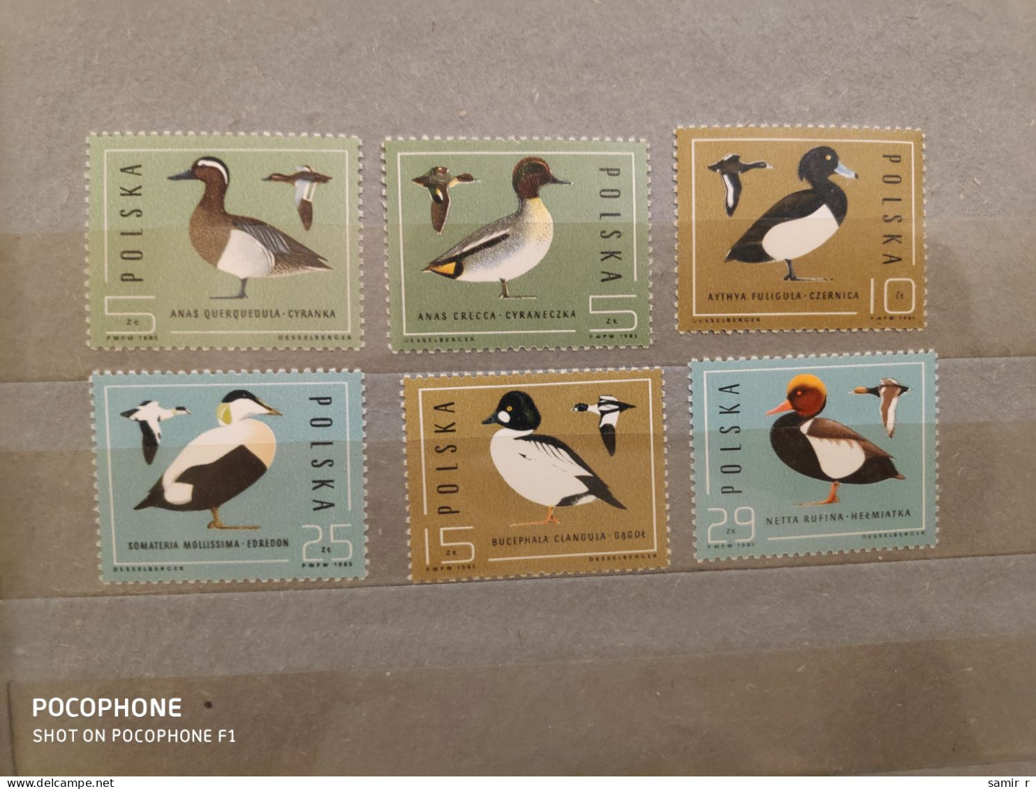 1985	Poland	Birds (F88) - Unused Stamps