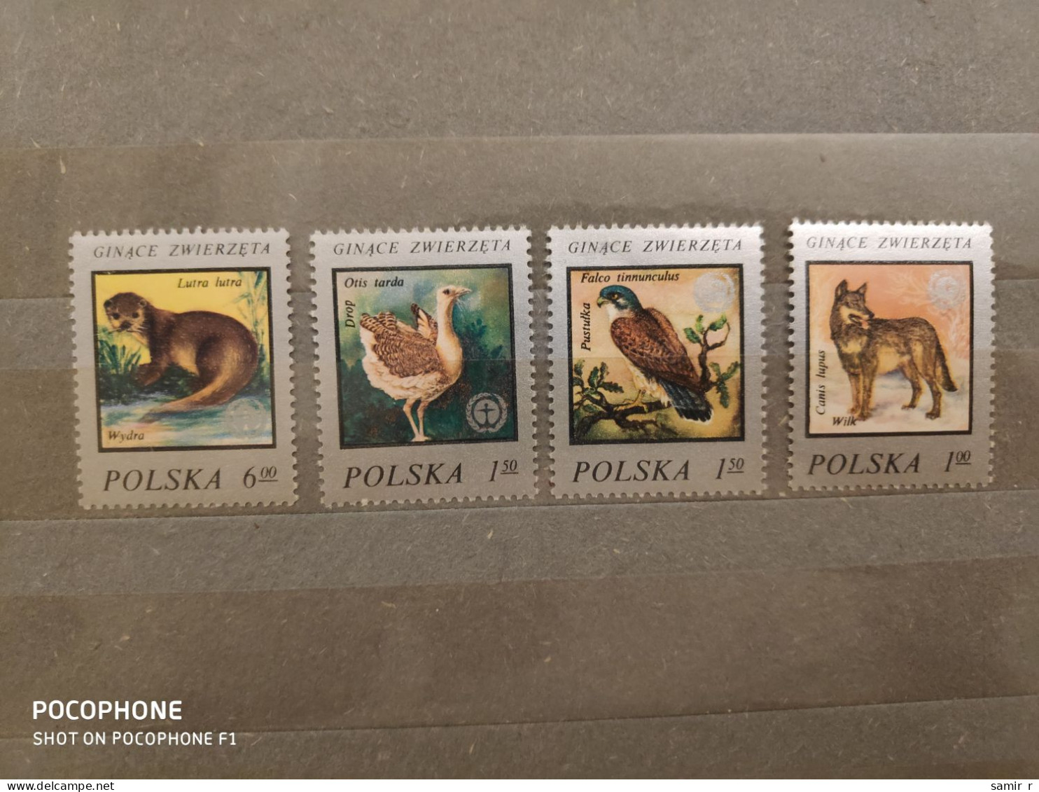Poland	Insects (F88) - Unused Stamps