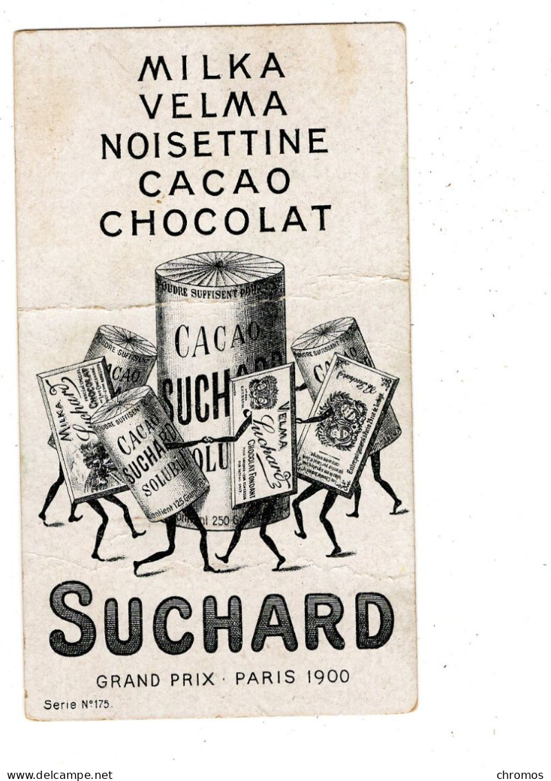 Chromo Chocolat Suchard, S 175 / 1 Animaux De Nuit, Hérisson - Suchard