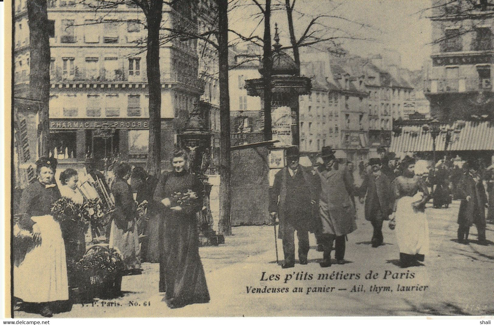 COPIE DE CARTE POSTALE ANCIENNE VENDEUSES AU PANIER AIL THYM LAURIER - Marchands Ambulants