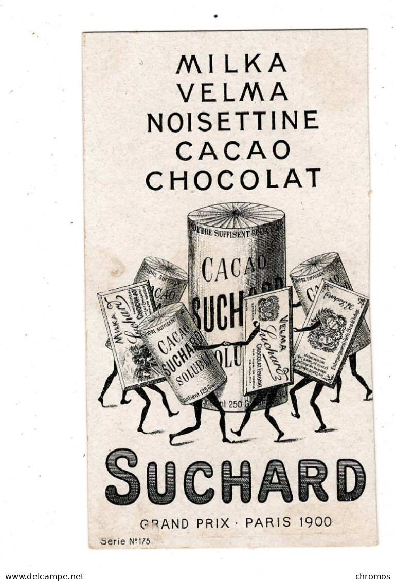 Chromo Chocolat Suchard, S 175 / 5, Animaux De Nuit, Tatou - Suchard