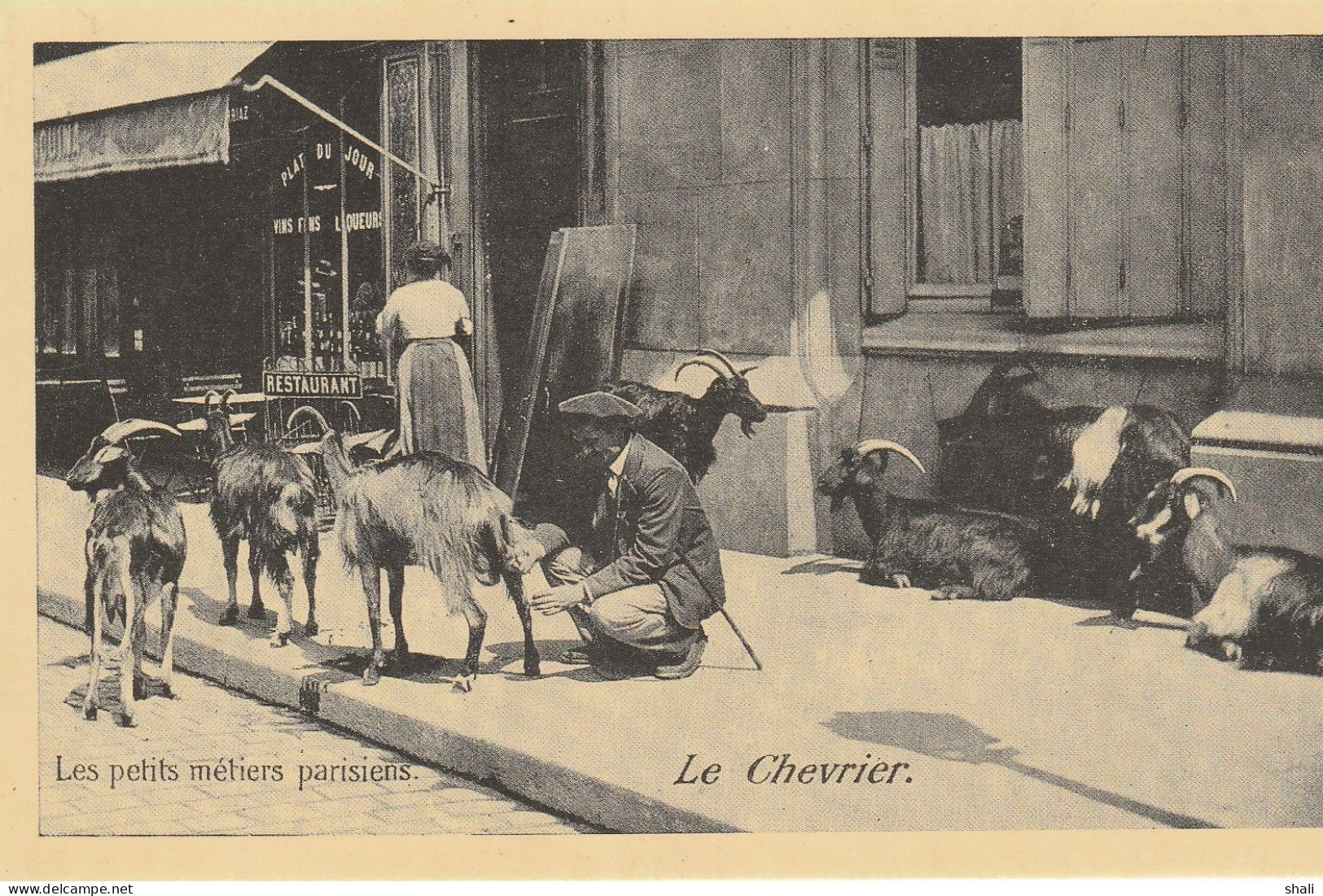 COPIE DE CARTE POSTALE ANCIENNE LE CHEVRIER - Street Merchants