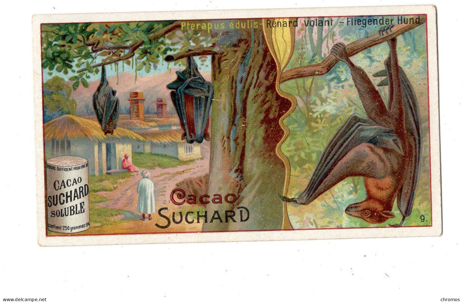 Chromo Chocolat Suchard, S 175 / 9, Animaux De Nuit, Renard Volant, Chauve Souris - Suchard