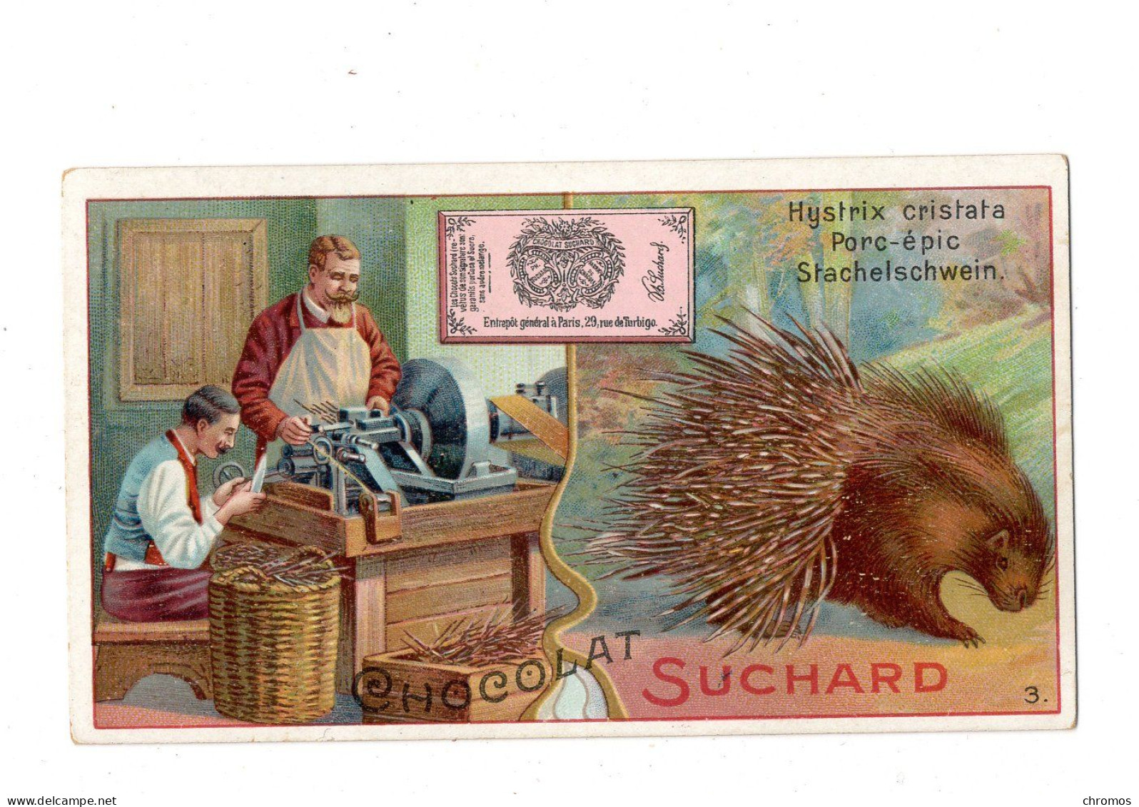 Chromo Chocolat Suchard, S 175 / 3, Animaux De Nuit, Porc-épic - Suchard