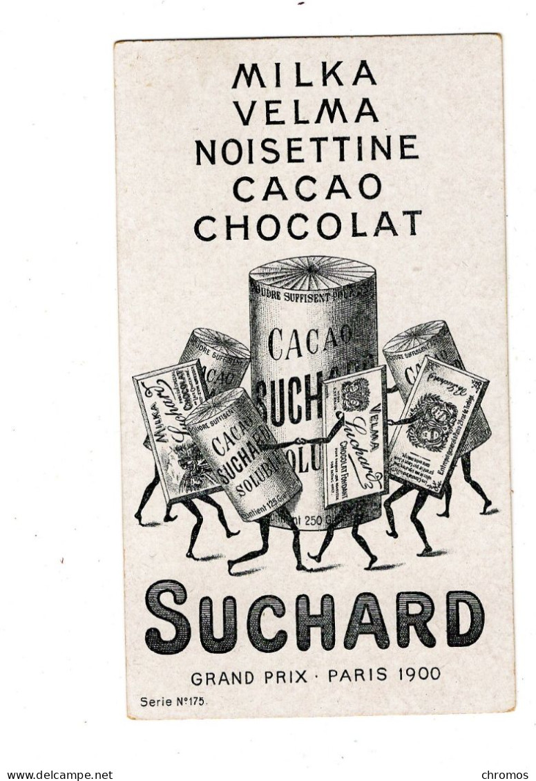 Chromo Chocolat Suchard, S 175 / 3, Animaux De Nuit, Porc-épic - Suchard