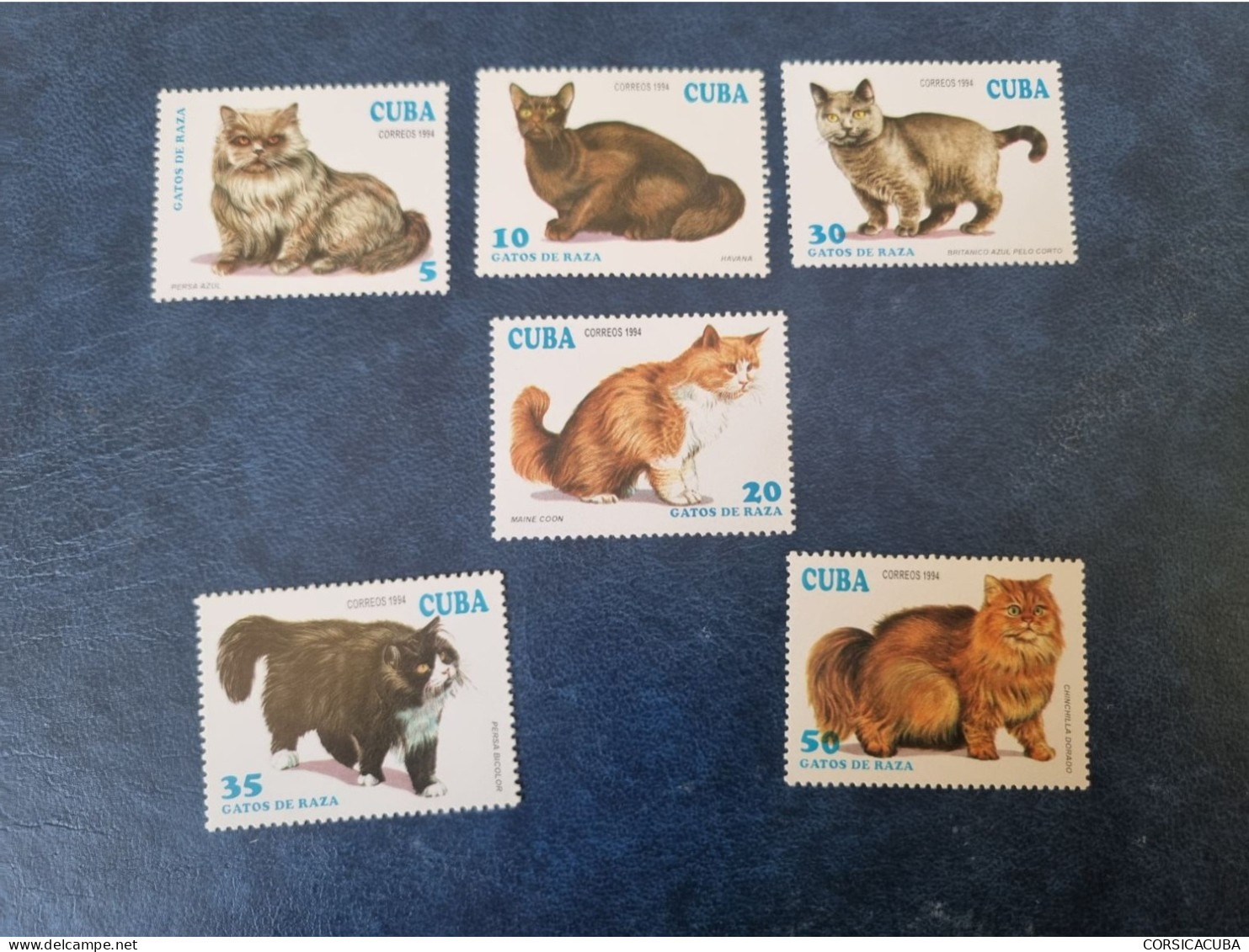 CUBA  NEUF  1994   GATOS  DE  RAZA   //  PARFAIT  ETAT  //  1er  CHOIX  // - Unused Stamps