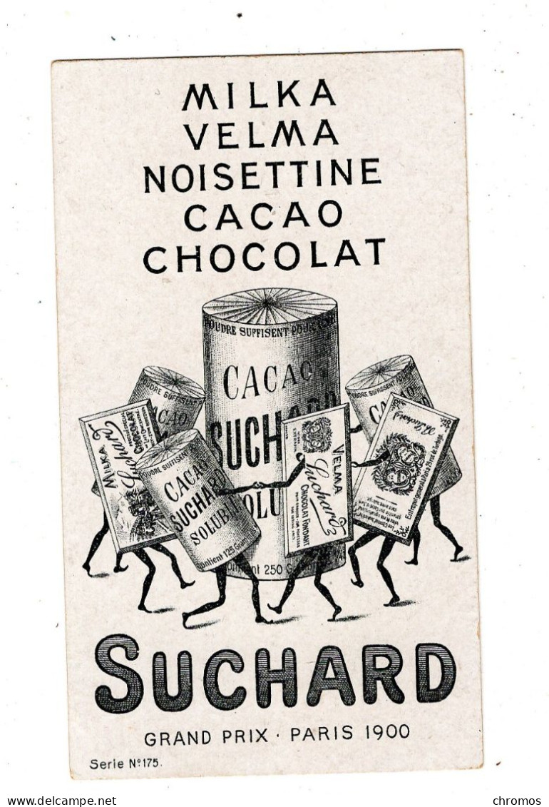 Chromo Chocolat Suchard, S 175 / 4, Animaux De Nuit, Fourmilier - Suchard