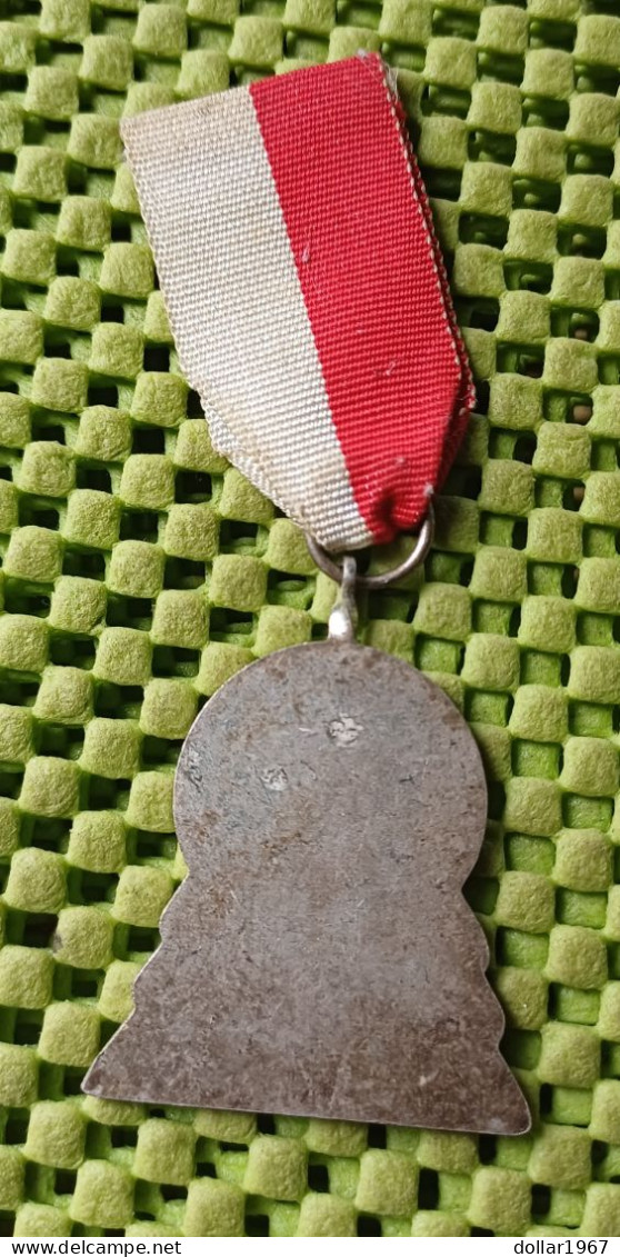 Medaile : W.S.V. Wios 81 Hengelo ( Gld ) 1955-1965  -  Original Foto  !!  Medallion  Dutch - Sonstige & Ohne Zuordnung