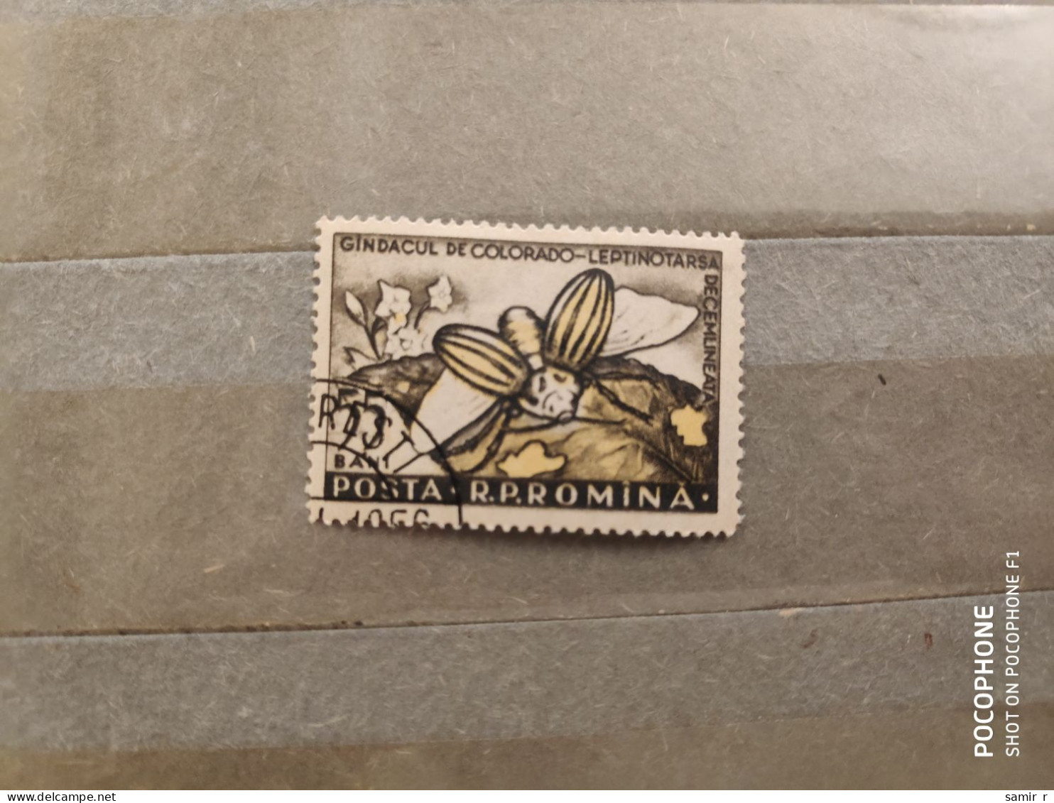 1956	Romania	Butterflies (F88) - Gebruikt