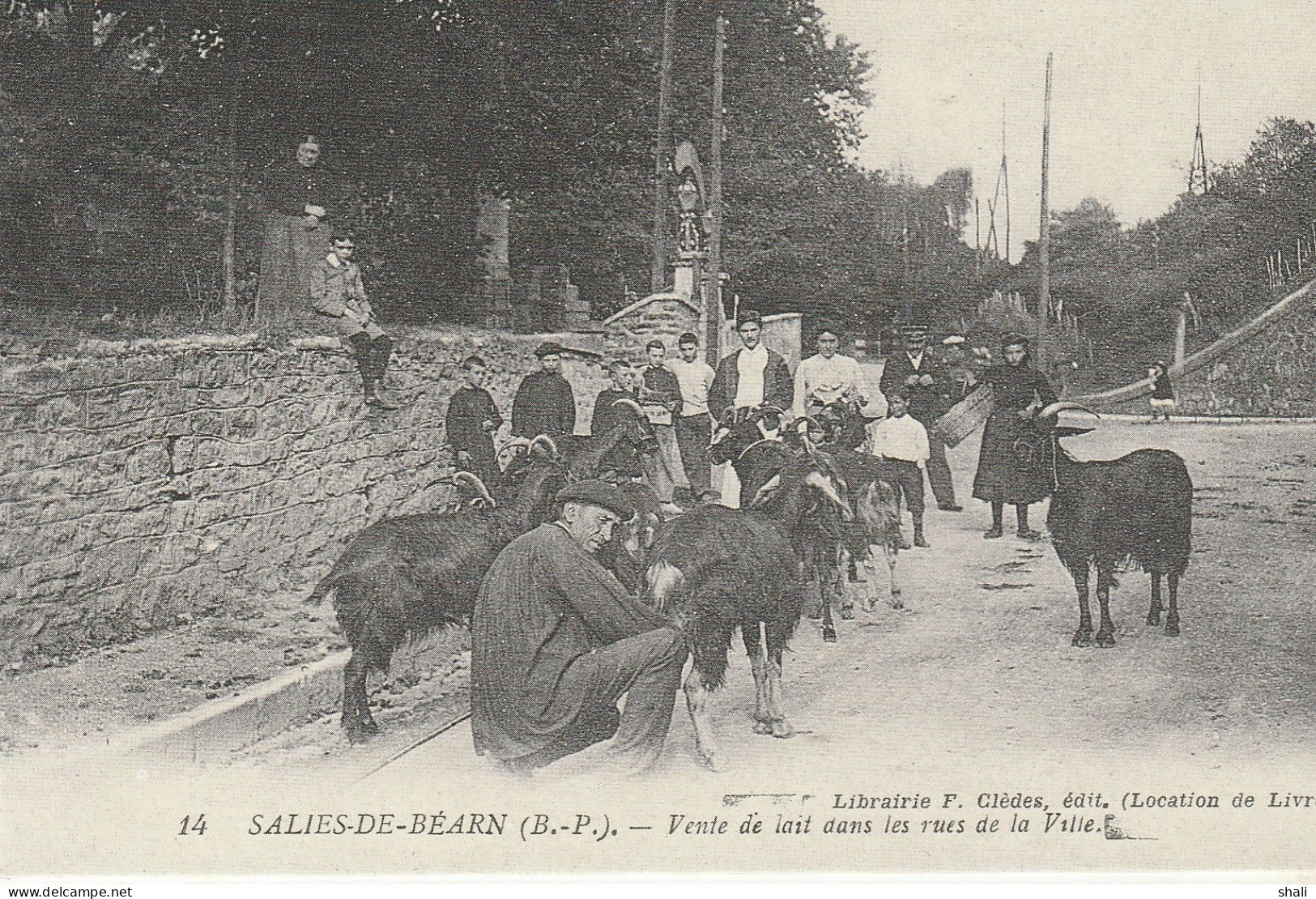 COPIE DE CARTE POSTALE ANCIENNE SALIES DE BEARN VENTE DE LAIT DANS LES RUES DE LA VILLE - Venters