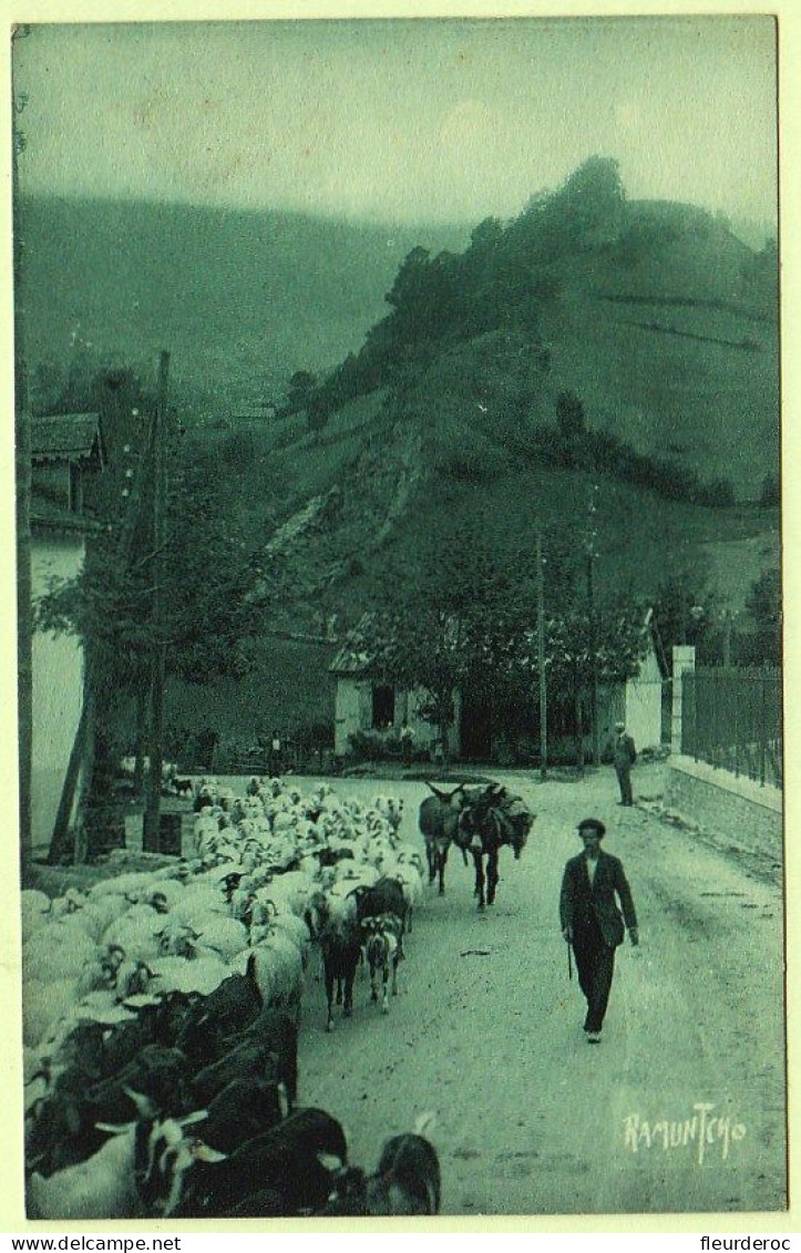 64 - B56421CPA - LARUNS - Troupeau De Moutons Descendant De La Montagne - Très Bon état - PYRENEES-ATLANTIQUES - Laruns