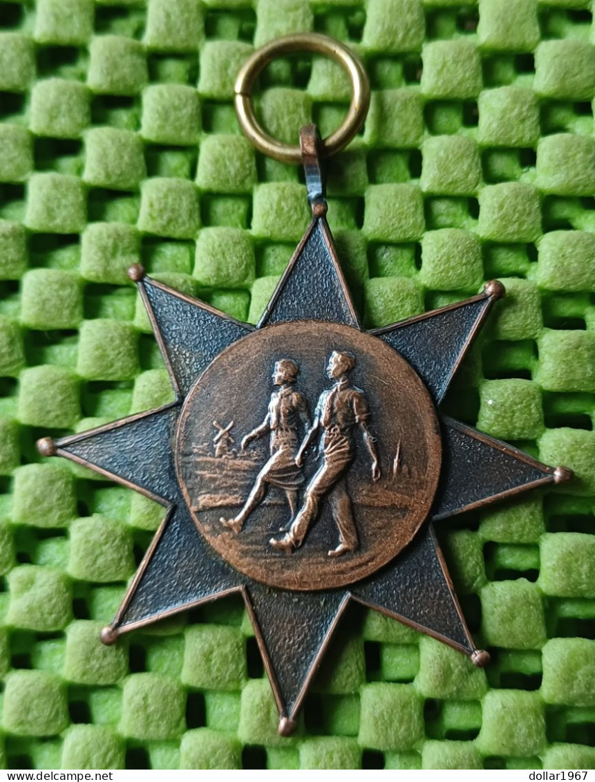 Medaile :  Wandel Tocht , Helaas Geen Initialen + 1950 -  Original Foto  !!  Medallion  Dutch - Andere & Zonder Classificatie