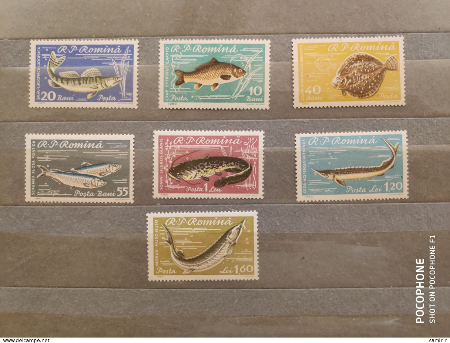 1960	Romania	Fishes (F88) - Unused Stamps
