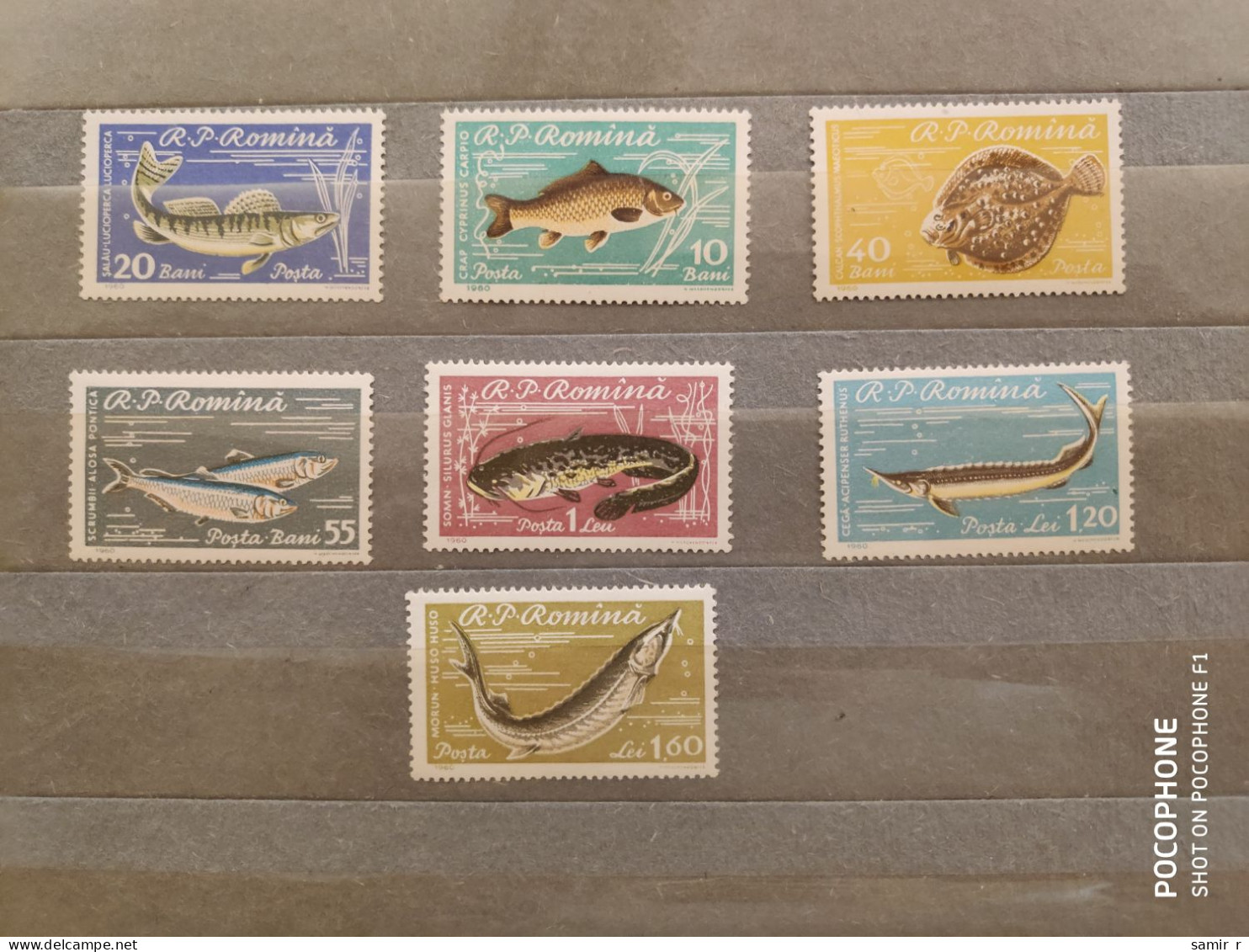 1960	Romania	Fishes (F88) - Ongebruikt