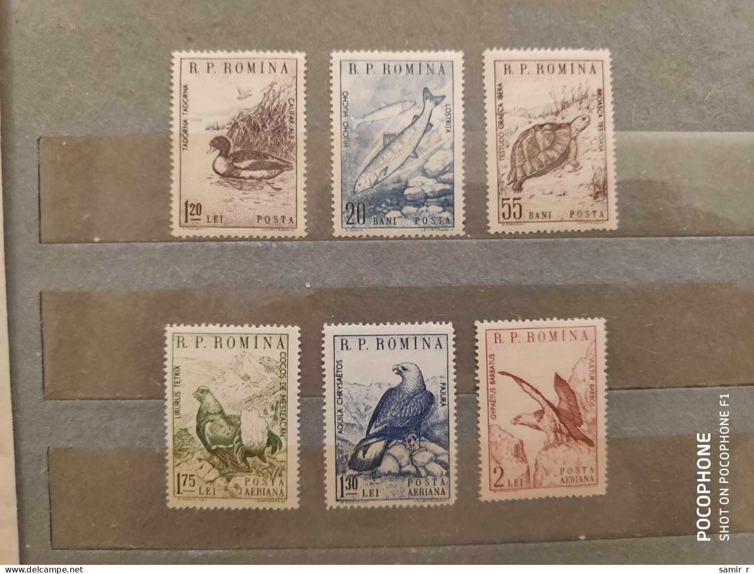 1960	Romania	Animals (F88) - Ongebruikt