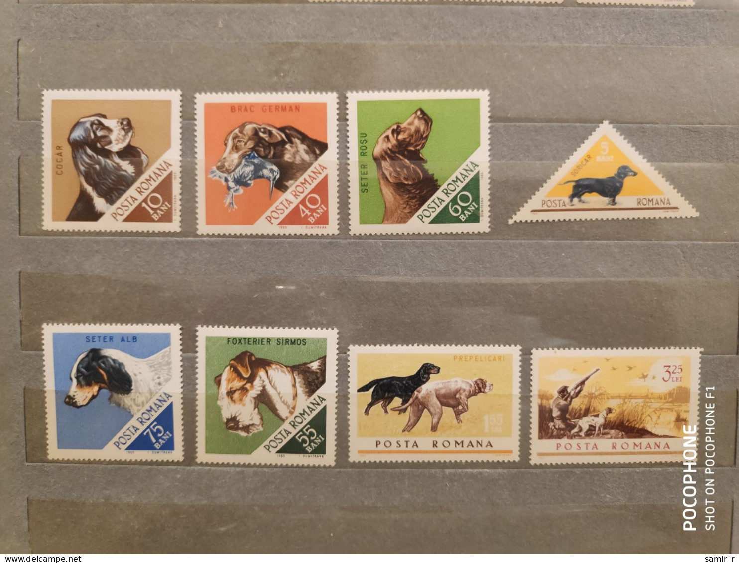 1965	Romania	Dogs (F88) - Neufs