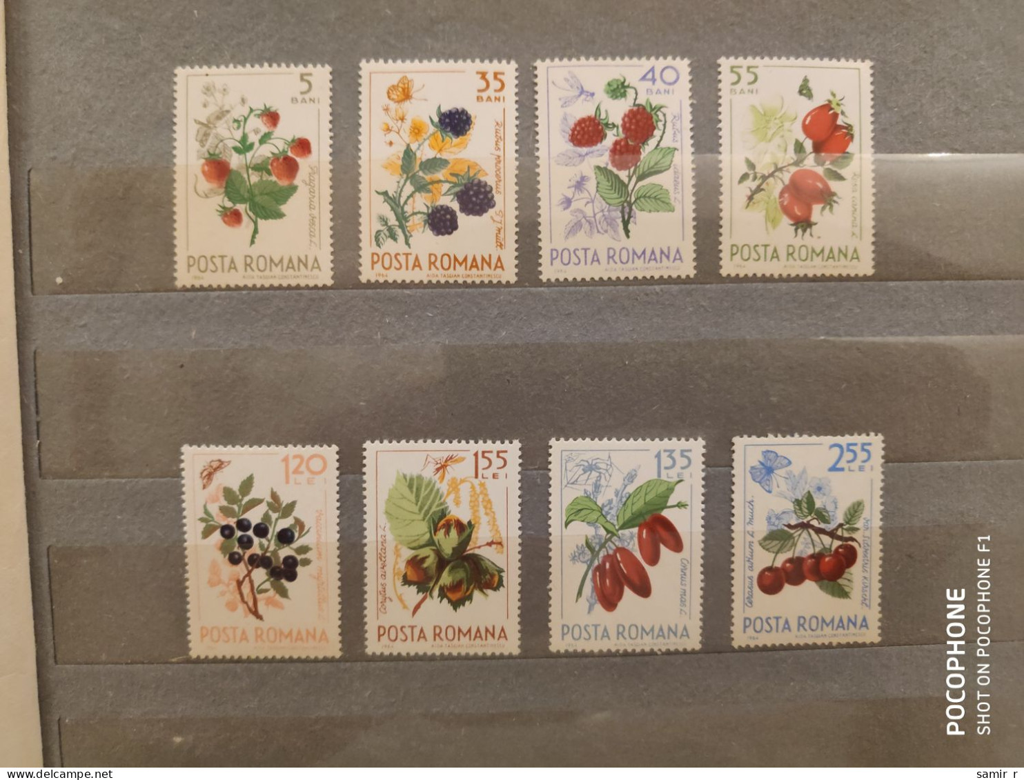 1964	Romania	Berries (F88) - Unused Stamps