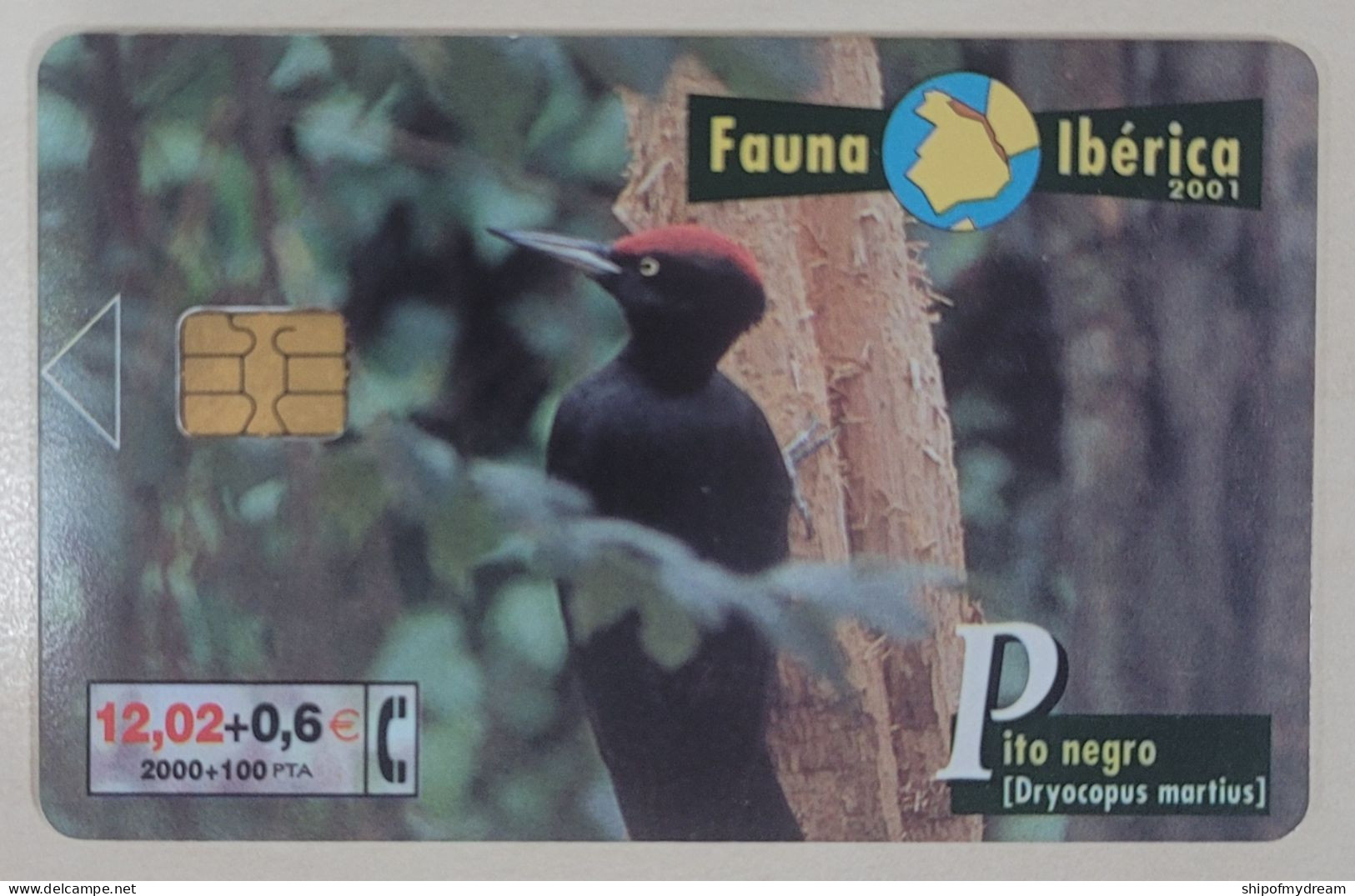 Spain. Telefonica. Fauna Iberica. B-094. Pito Negro. - Commemorative Advertisment