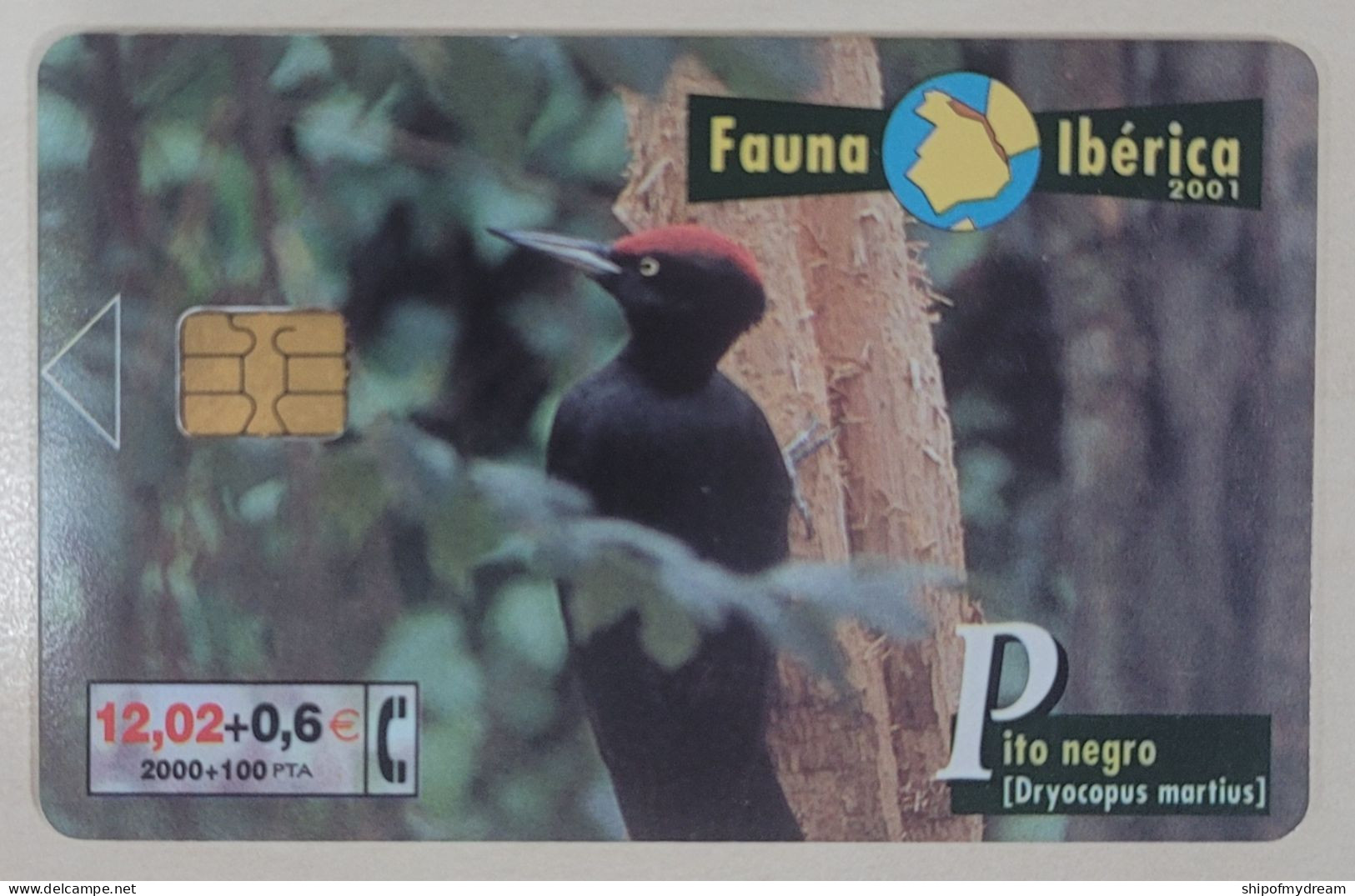 Spain. Telefonica. Fauna Iberica. B-094. Pito Negro. - Herdenkingsreclame