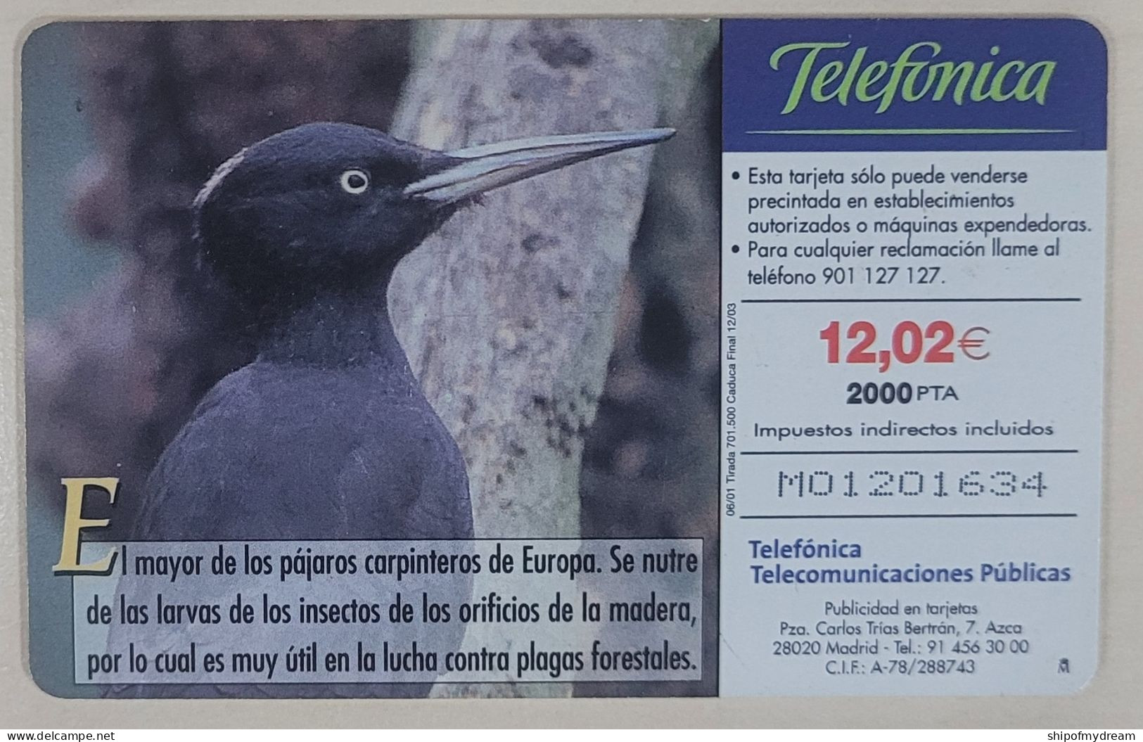 Spain. Telefonica. Fauna Iberica. B-094. Pito Negro. - Conmemorativas Y Publicitarias