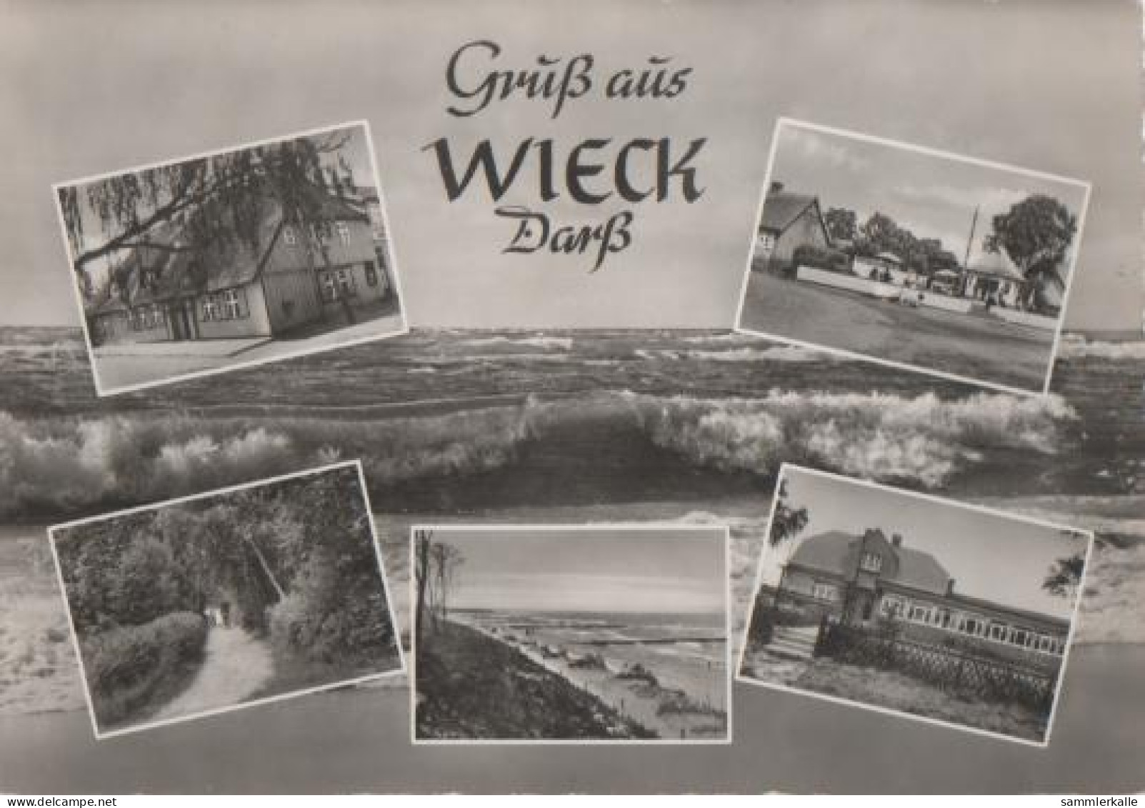 9976 - Wieck Darss - Ca. 1965 - Fischland/Darss