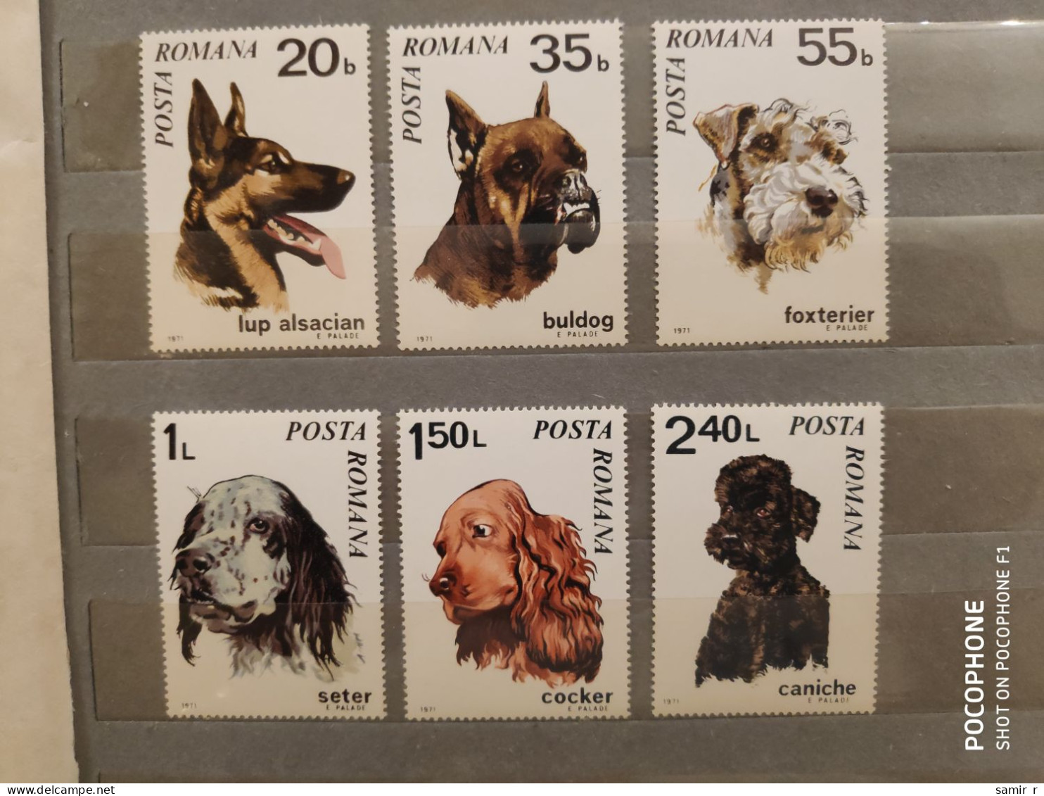 1971	Romania	Dogs (F88) - Neufs
