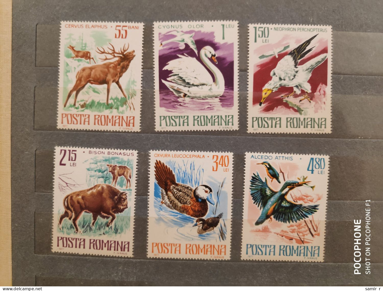 1977	Romania	Animals (F88) - Neufs