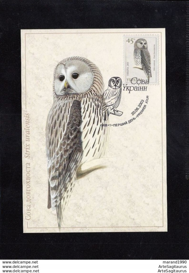 UKRAINE, CARTE MAXIMUM, BIRDS-Strix Uralensis # - Owls