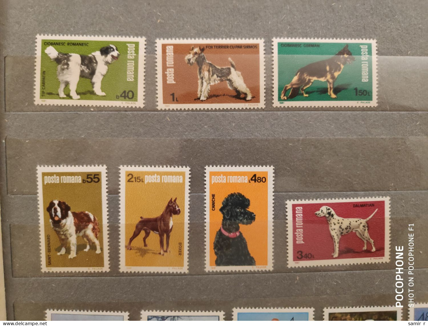 1981	Romania	Dogs (F88) - Ongebruikt