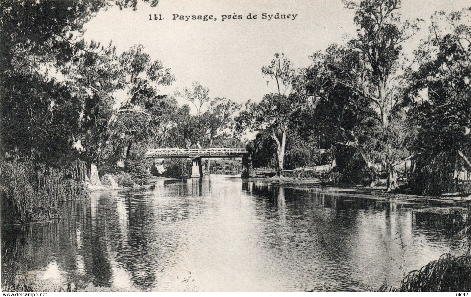 - Paysage , Près De SYDNEY (Australie). - Scan Verso - - Sydney