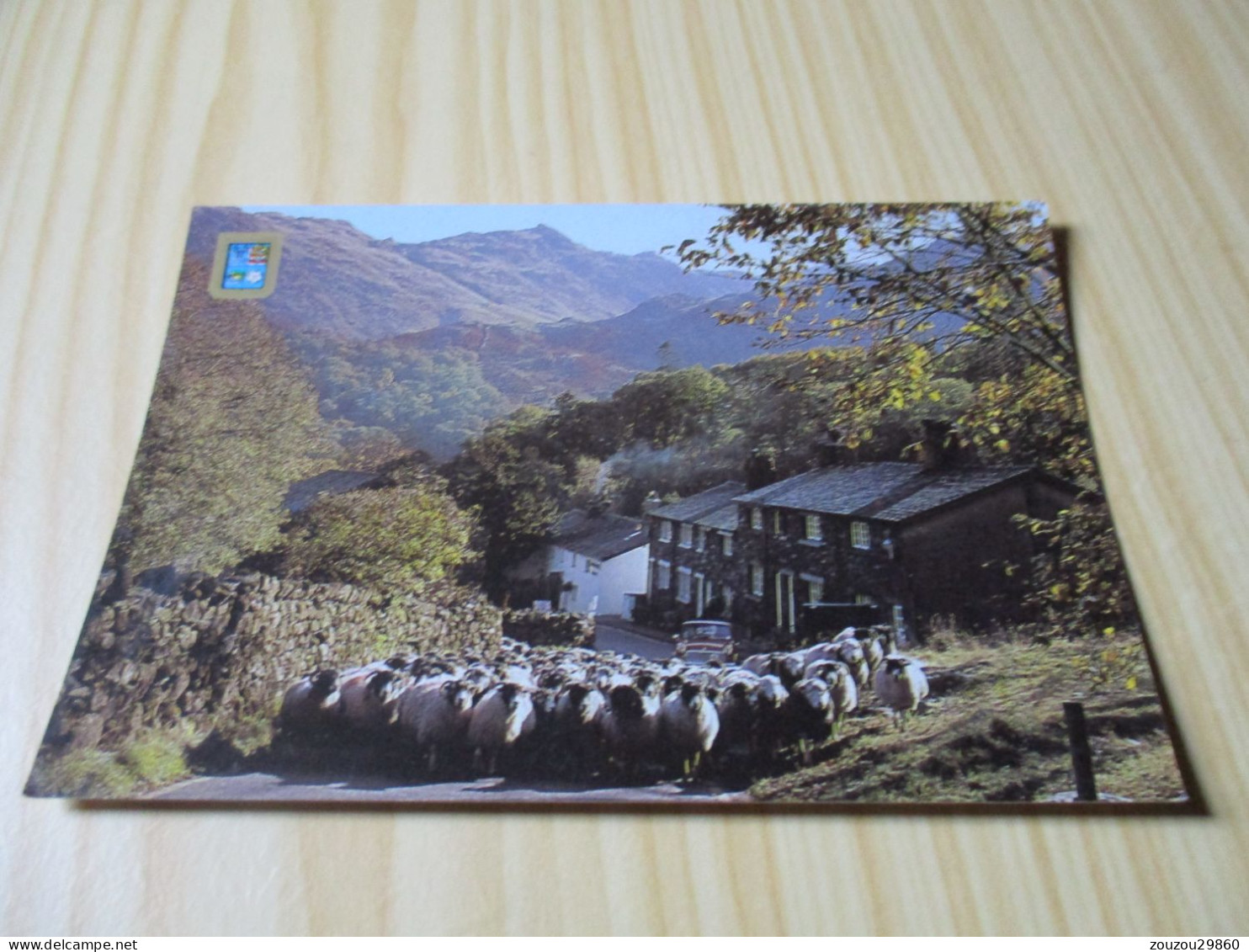 Borrowdale (Royaume-Uni).Driving Sheep, Seatoller. - Borrowdale