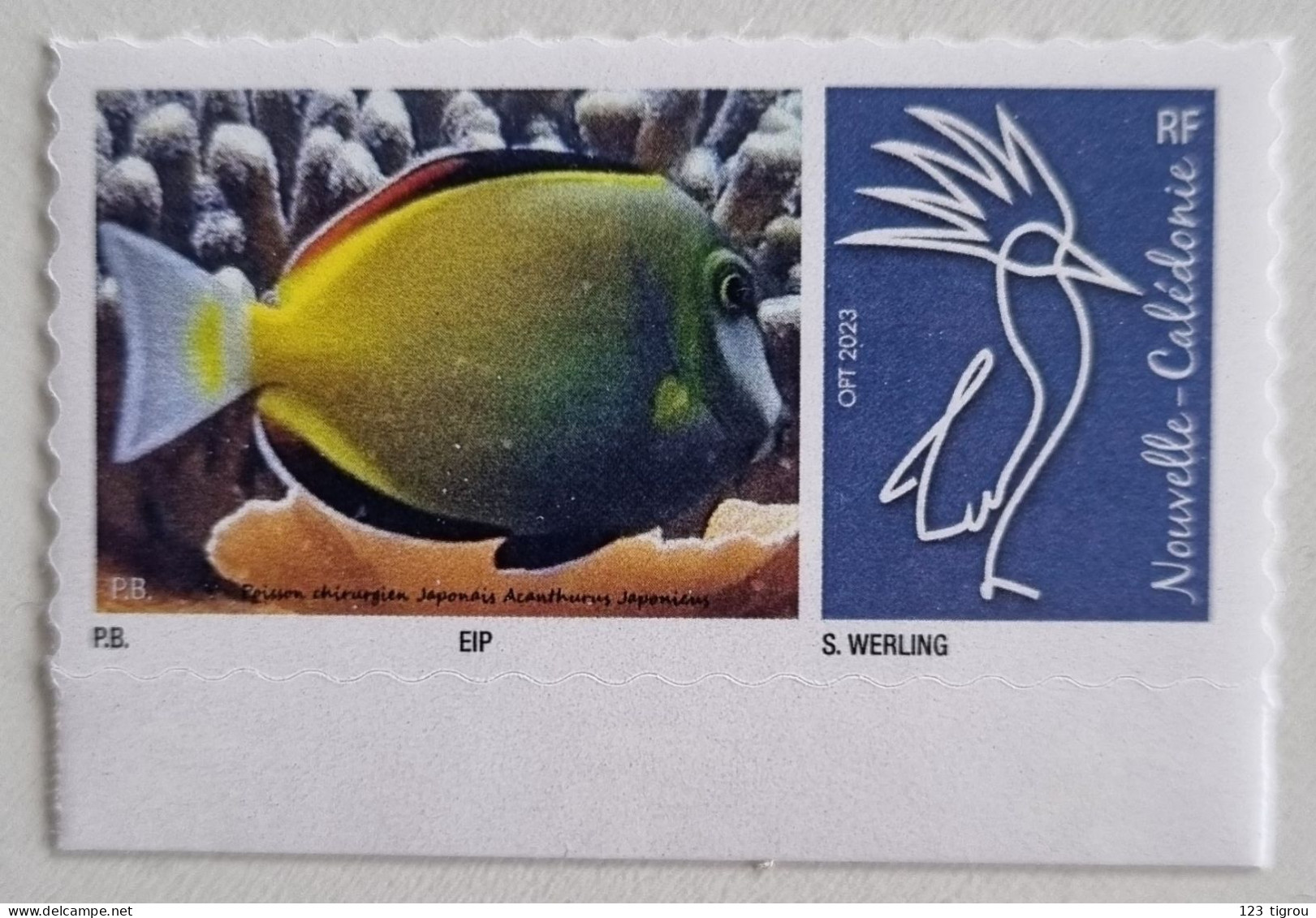 CAGOU PERSONNALISE LOGO POISSON CHIRURGIEN JAPONAIS OPT 2023 EXTRAIT D'UNE FEUILLE DE 25 TIMBRES TB - Unused Stamps