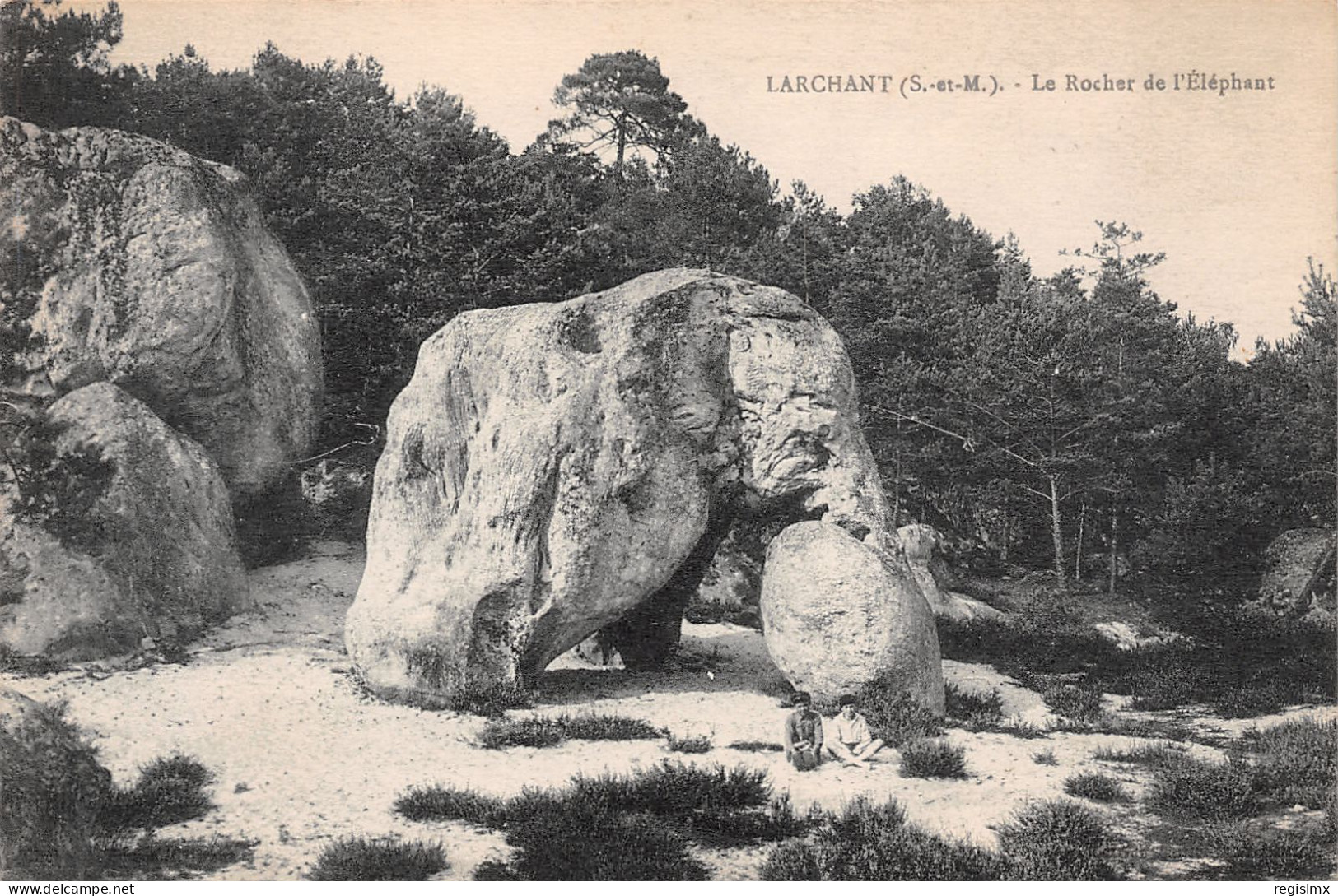 77-LARCHANT-N°T1215-D/0313 - Larchant