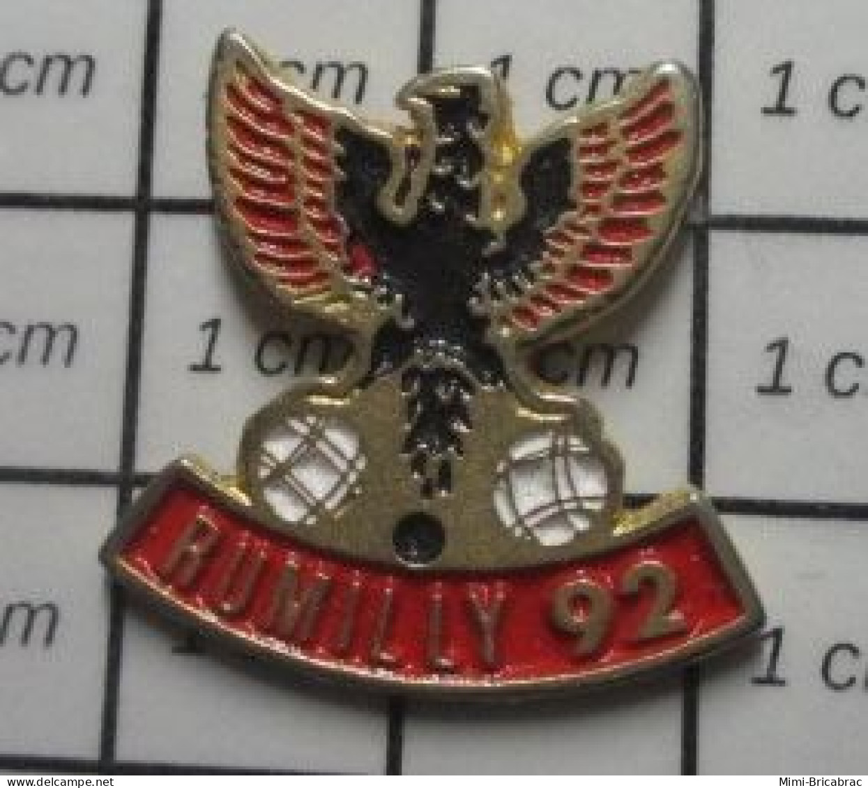 713A Pin's Pins / Beau Et Rare / SPORTS / PETANQUE RUMILLY 92 AIGLE NOIR ET ROUGE - Pétanque