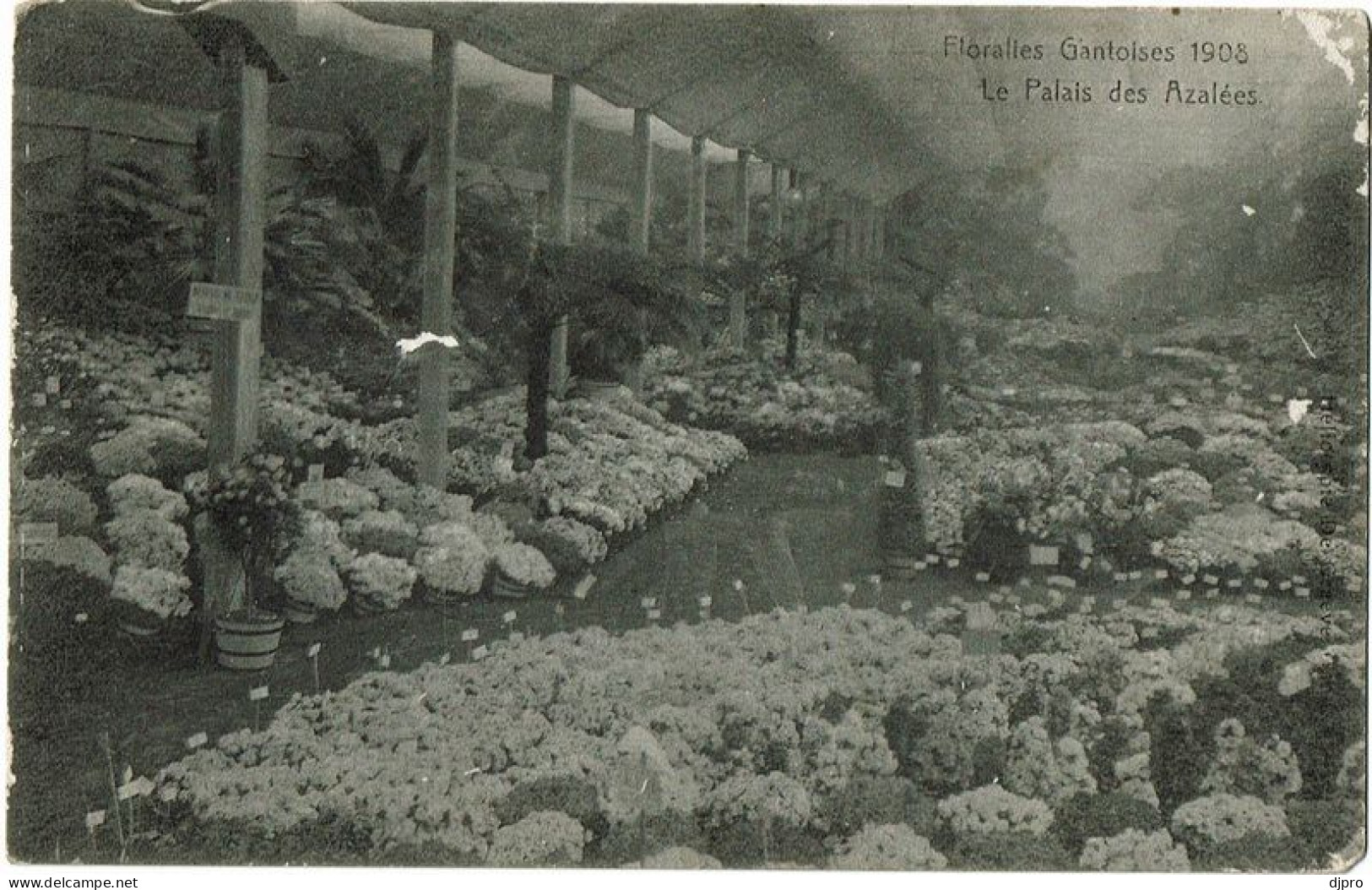 Gent Floralies Gantoises 1908 Le Palais Des Azalées - Westende
