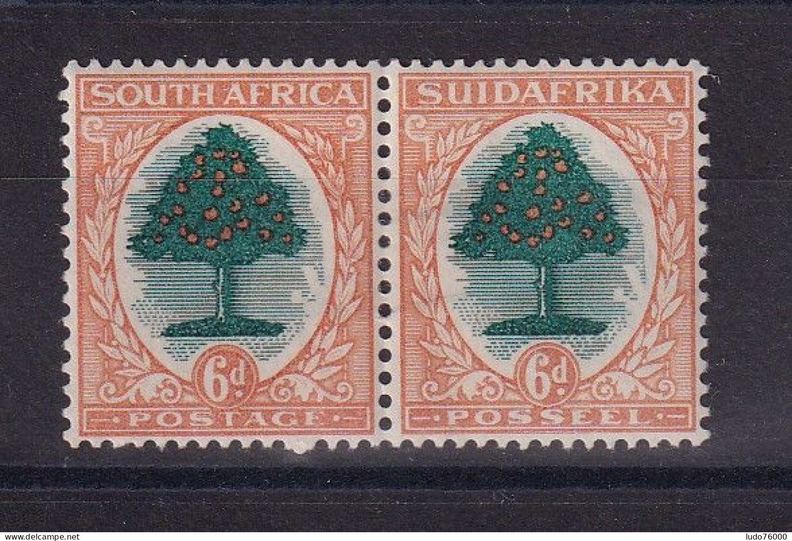 D 783 / AFRIQUE DU SUD / N° 43/52 PAIRE NEUF* - Unused Stamps