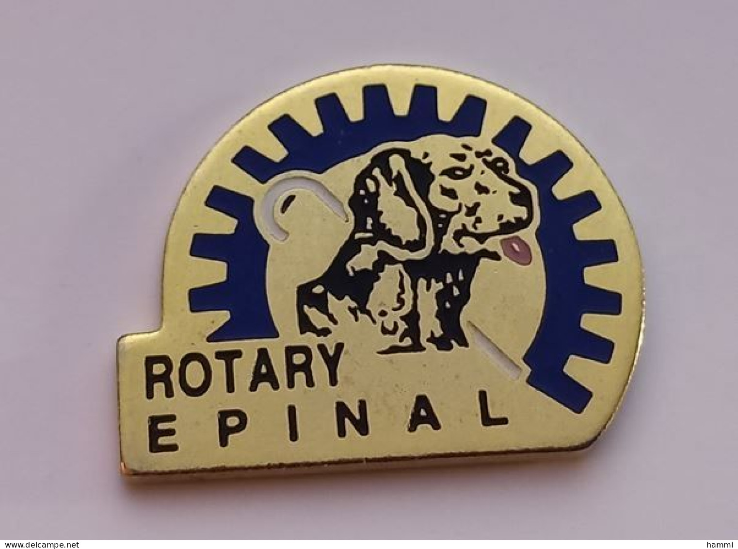 I37 Pin's Dog Chien Labrador Croisé Golden Pour Aveugle Non Voyant ROTARY CLUB ÉPINAL VOSGES Achat Immédiat - Geneeskunde