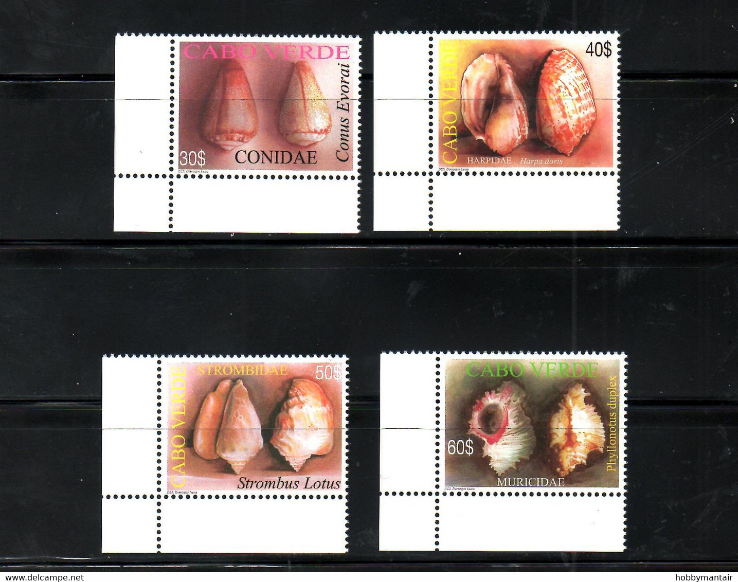 CABO VERDE, 2005,  SHELLS, 4v. MNH** - Coquillages