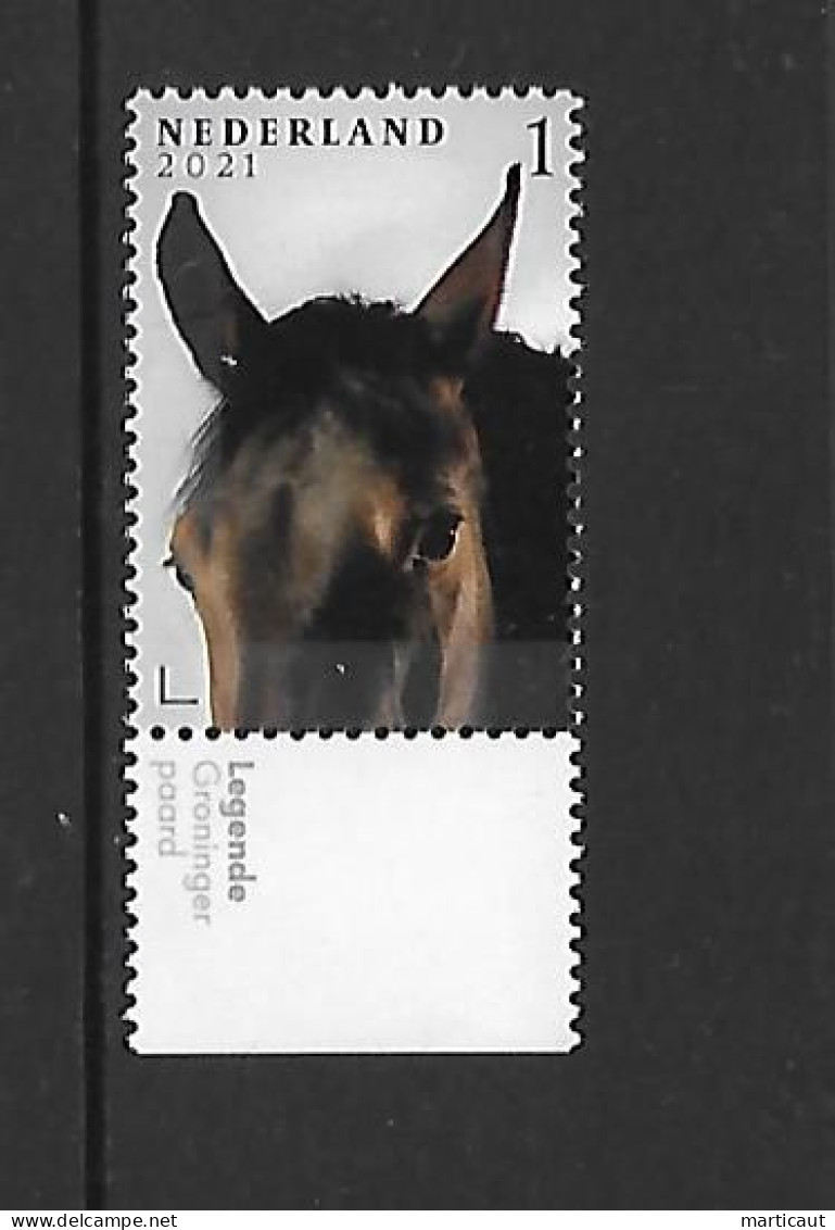 Groningen Paard : 1 Timbre XX - Année  2021 - Unused Stamps