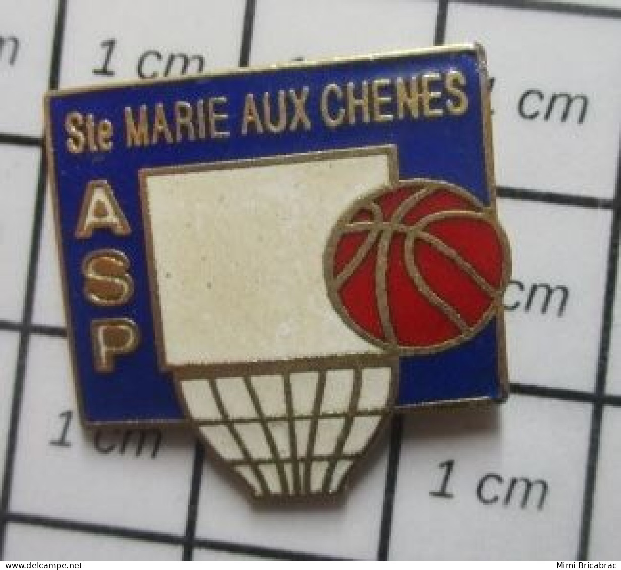 713A Pin's Pins / Beau Et Rare / SPORTS / CLUB BASKET STE MARIE AUX CHENES Salut Vieille Branche ! - Basketball