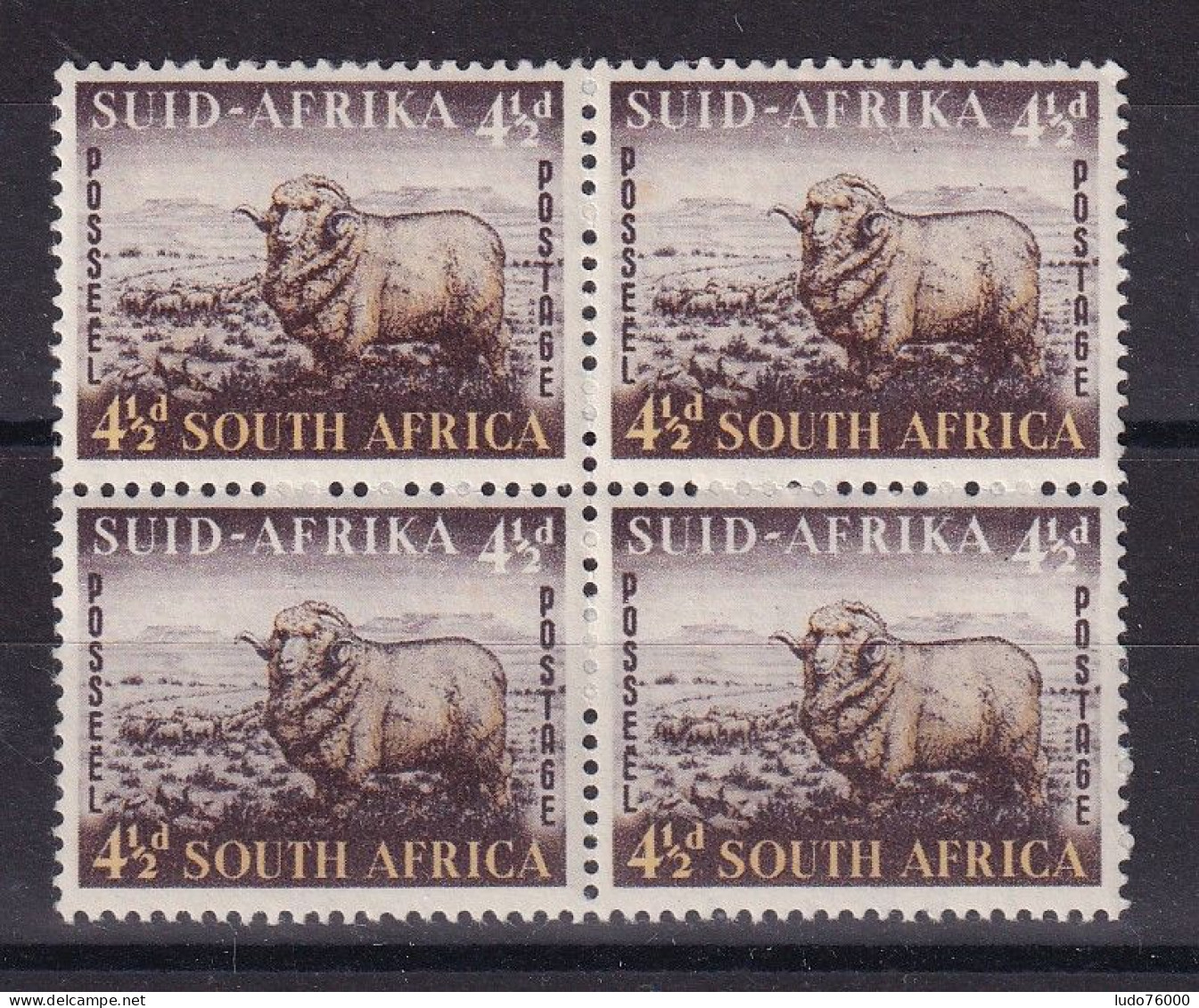 D 783 / AFRIQUE DU SUD / N° 196 BLOC DE 4 NEUF**/* - Ungebraucht