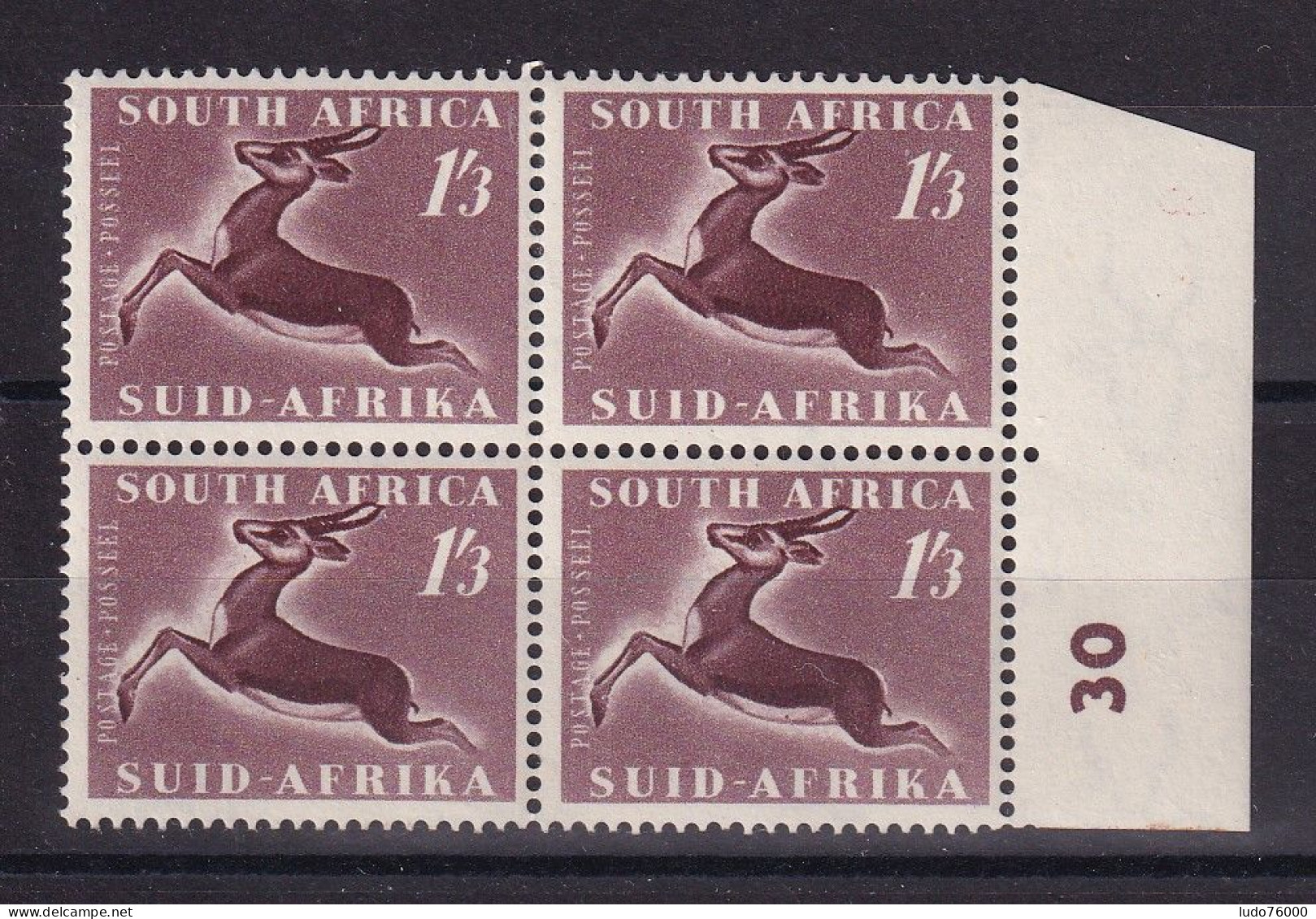 D 783 / AFRIQUE DU SUD / N° 197 BLOC DE 4 NEUF**/* - Unused Stamps