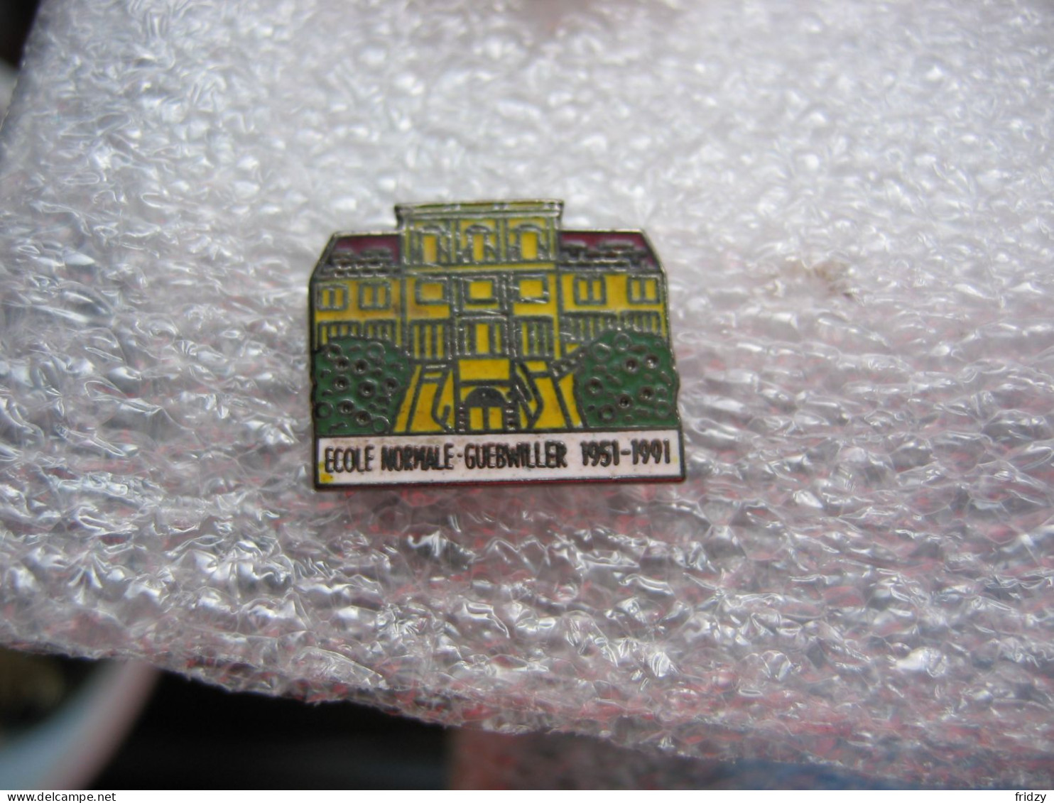 Pin's De L'école Normale De La Ville De Guebwiller 1951-1991 - Administraties